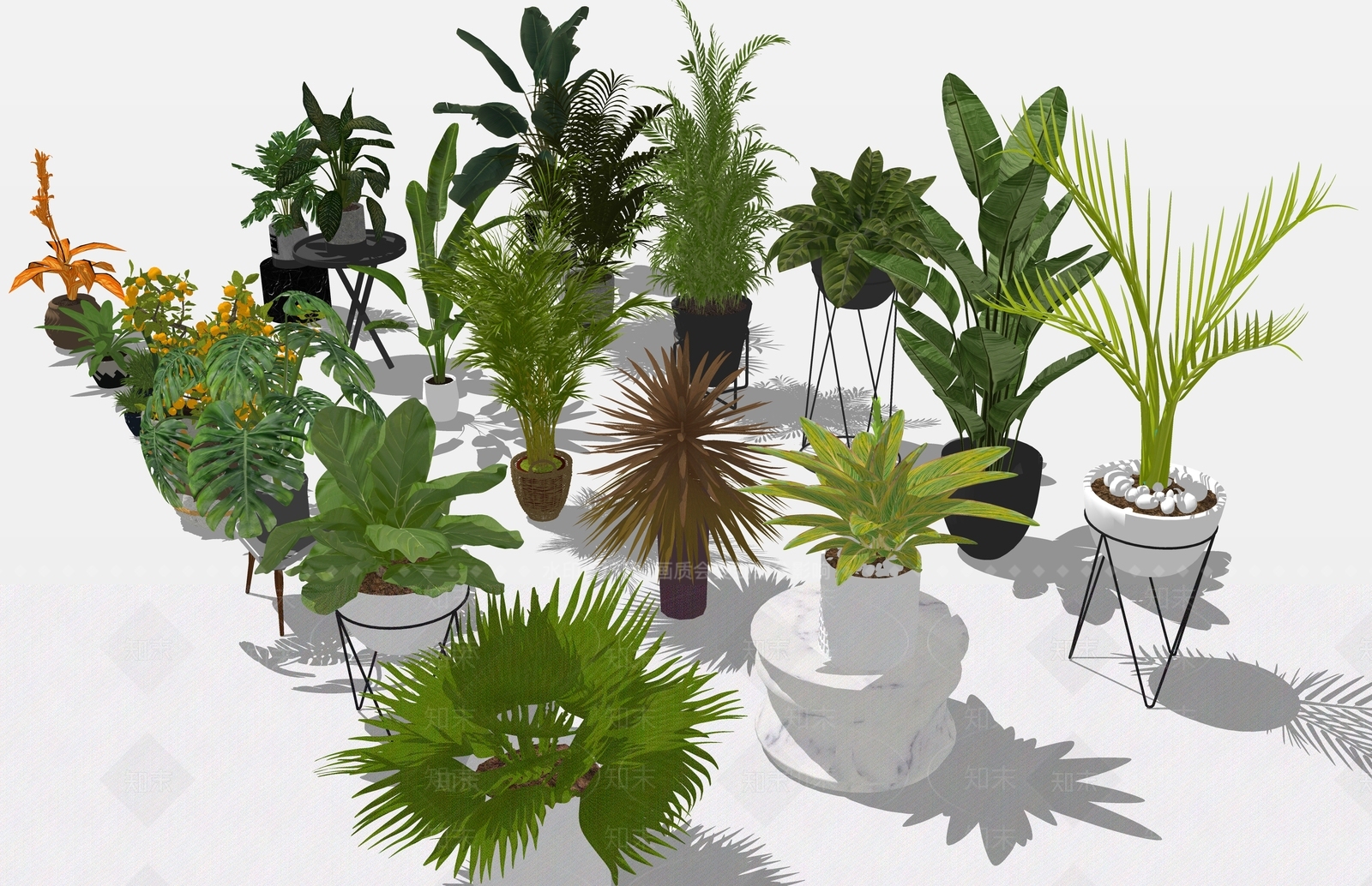 植物组合SU模型下载【ID:1180277965】
