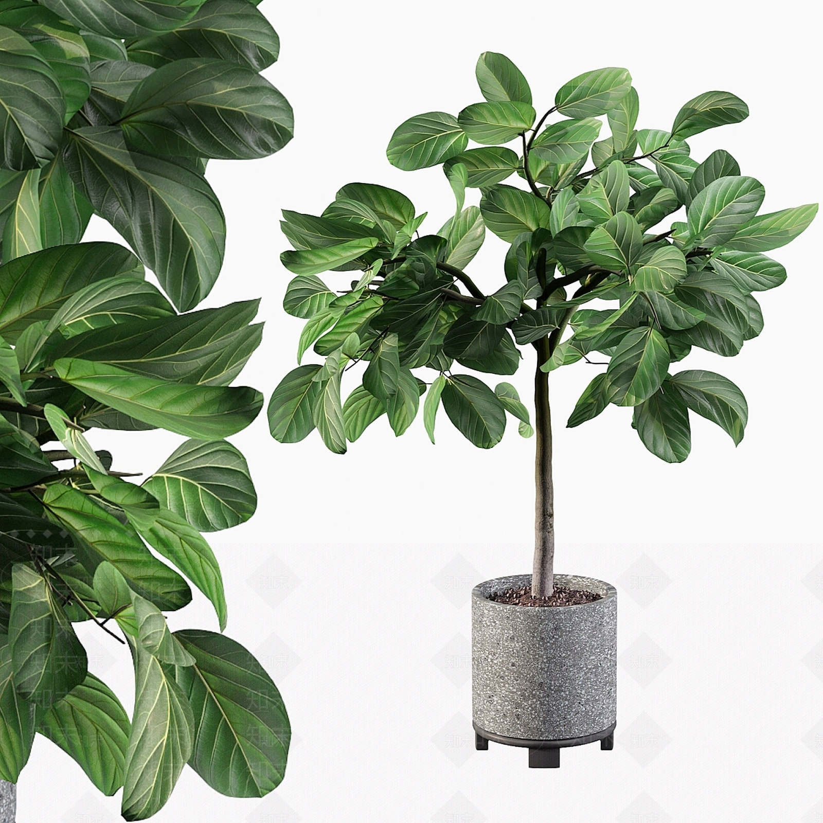 盆栽3D模型下载【ID:1180308457】