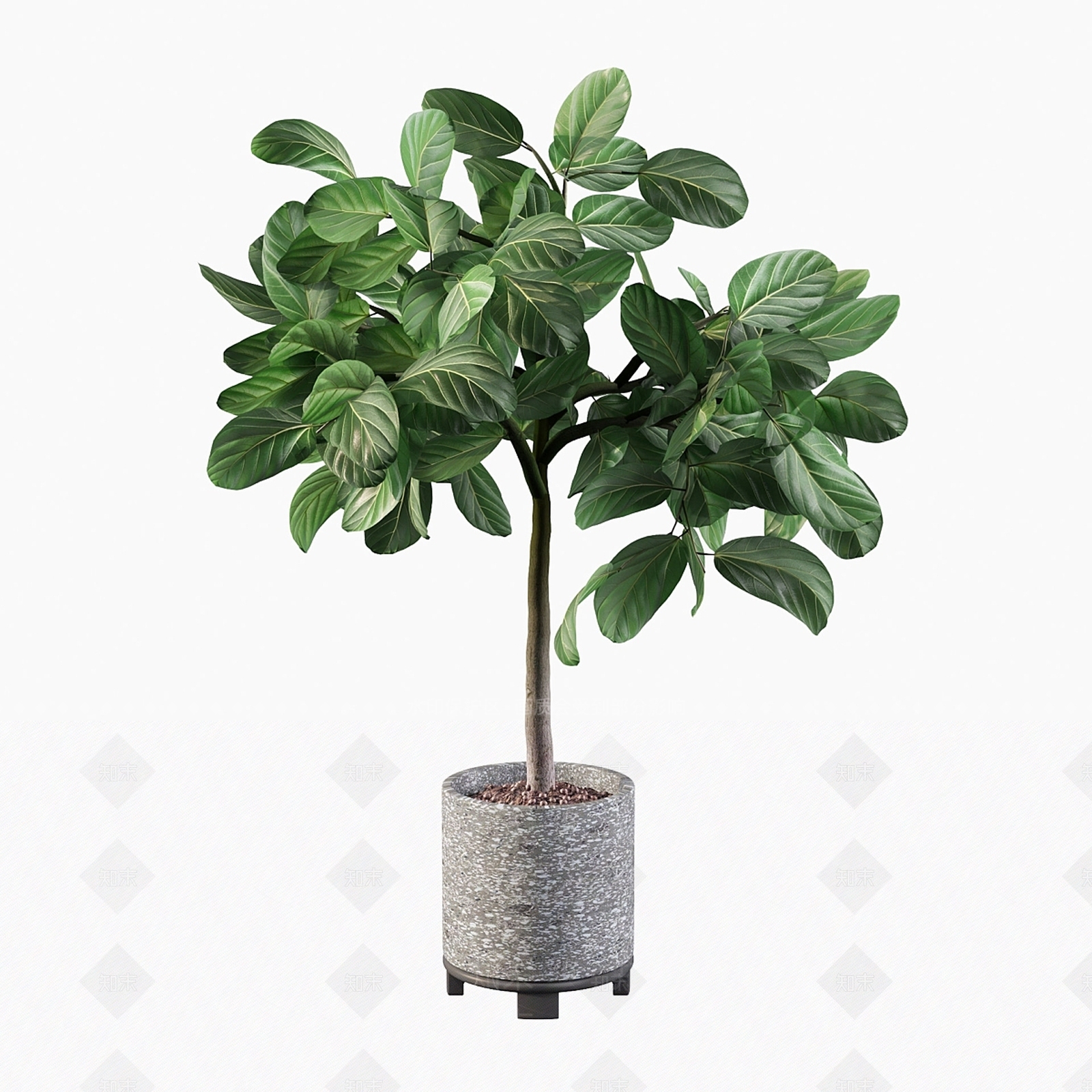 盆栽3D模型下载【ID:1180308457】