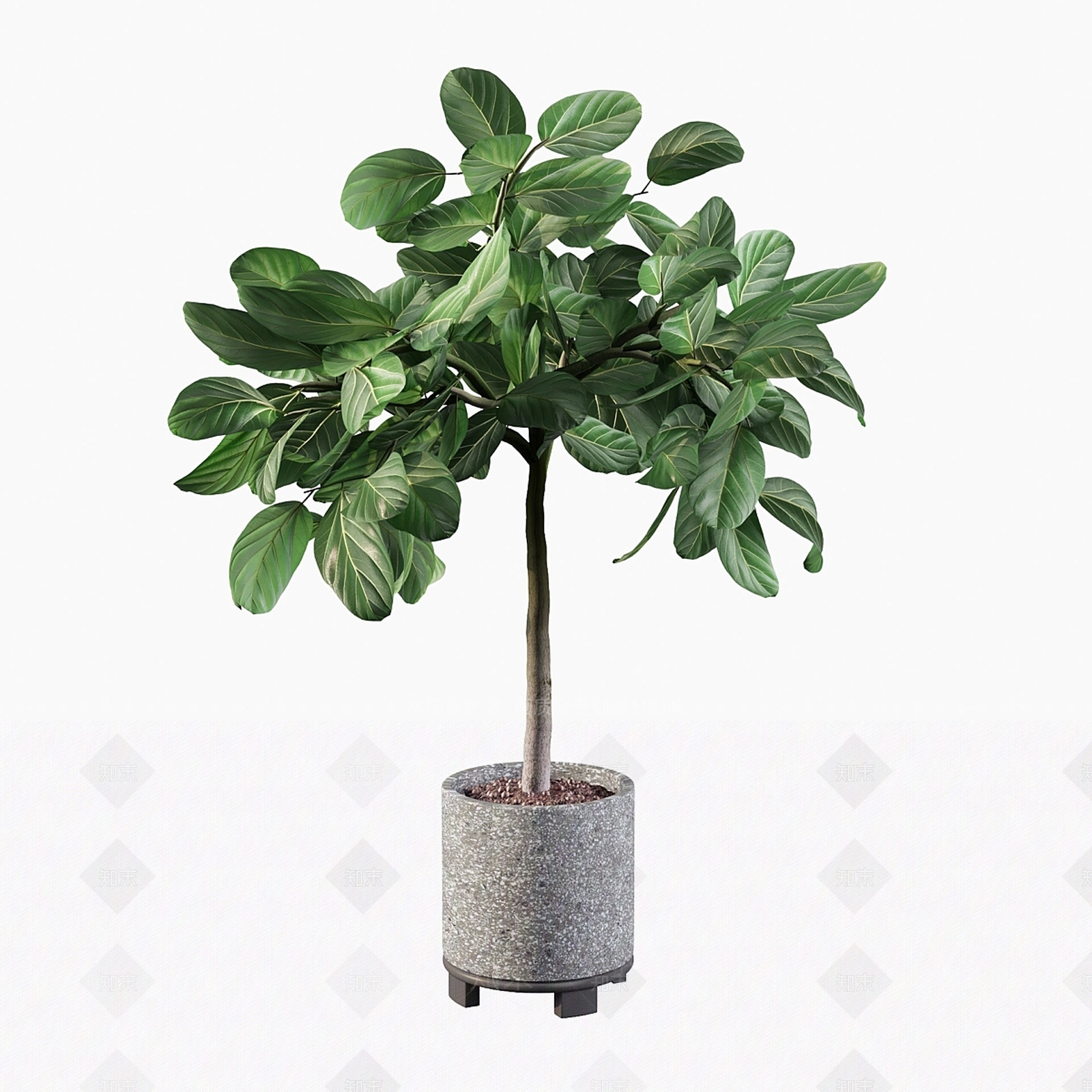 盆栽3D模型下载【ID:1180308457】
