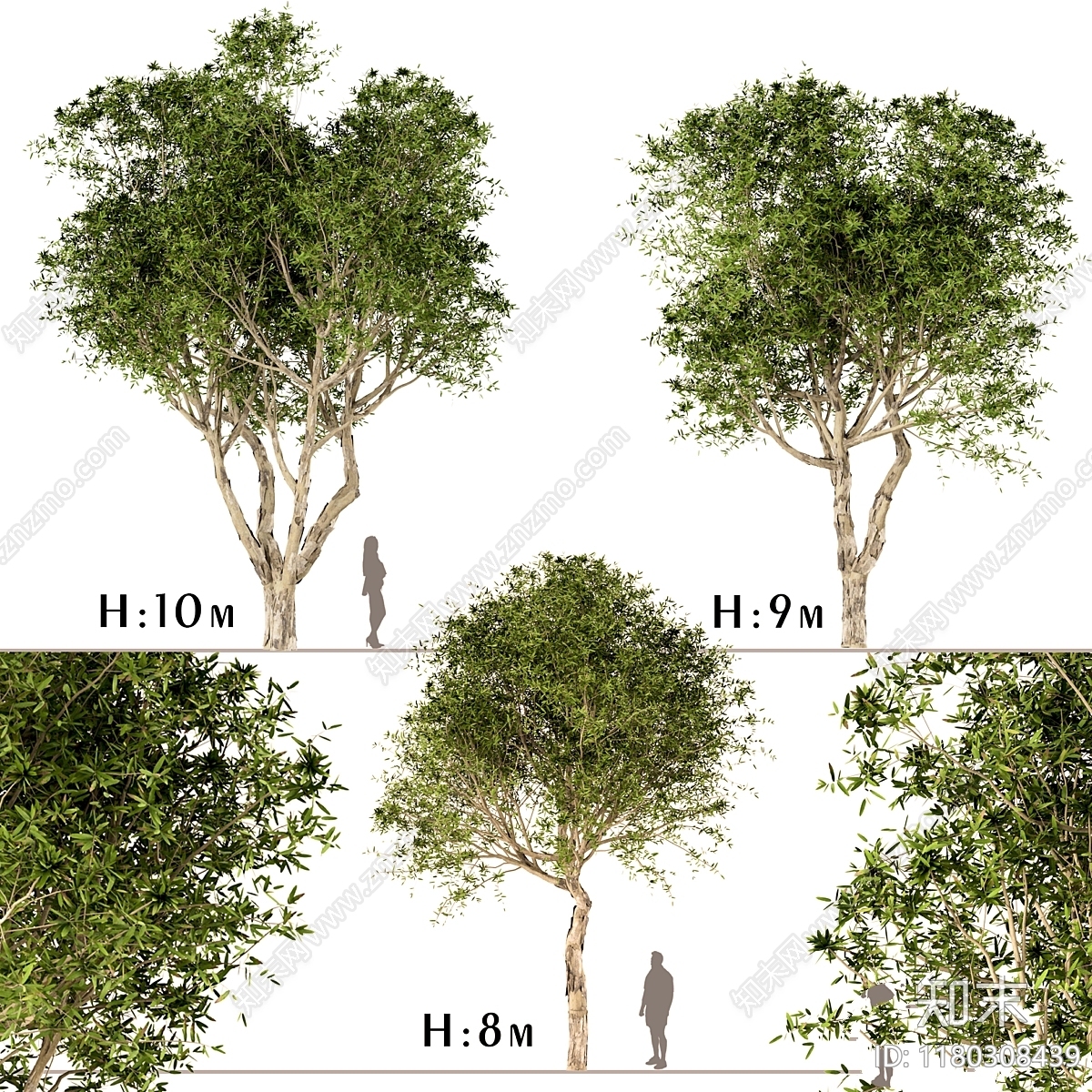 其他树木3D模型下载【ID:1180308439】