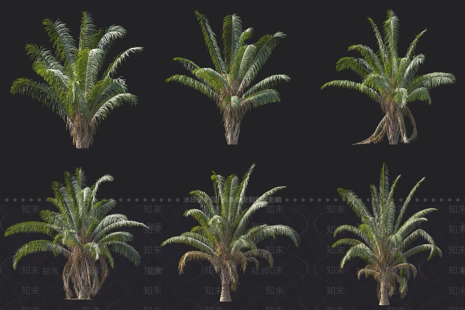景观树3D模型下载【ID:1180318017】