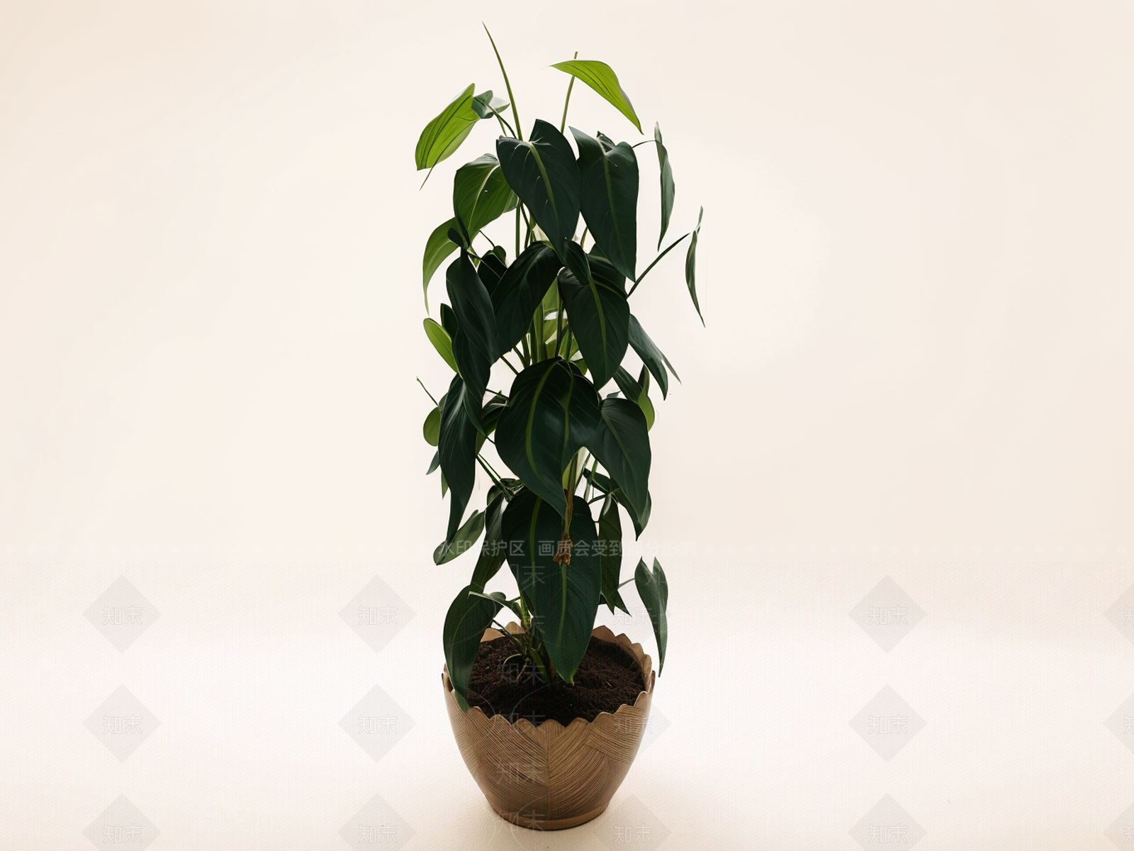 盆栽SU模型下载【ID:1180331593】