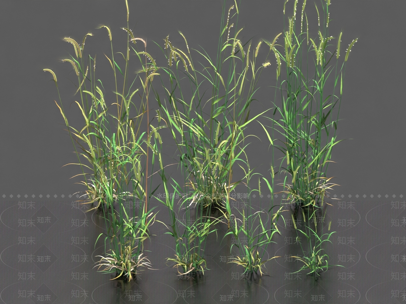 农作物3D模型下载【ID:1180343944】