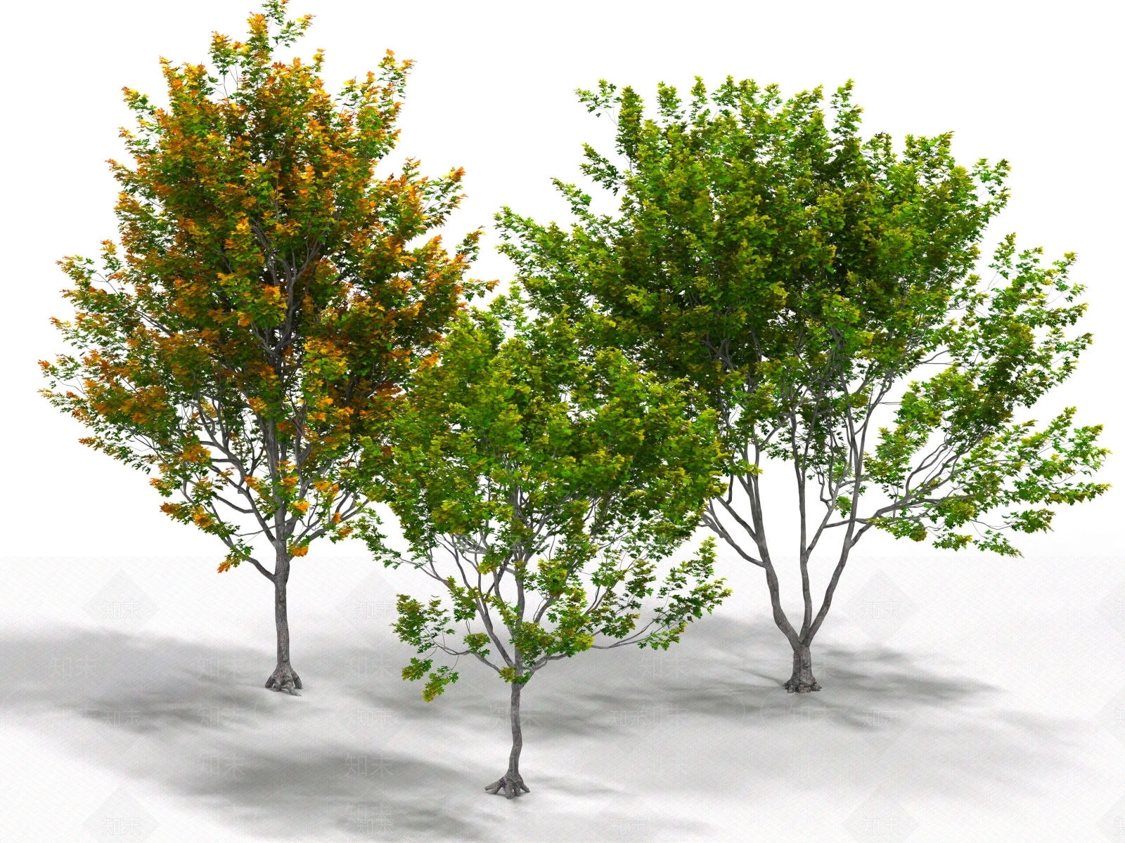 景观树3D模型下载【ID:1180347137】