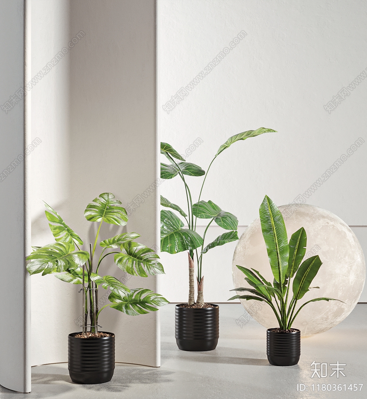 现代绿植盆栽3D模型下载【ID:1180361457】