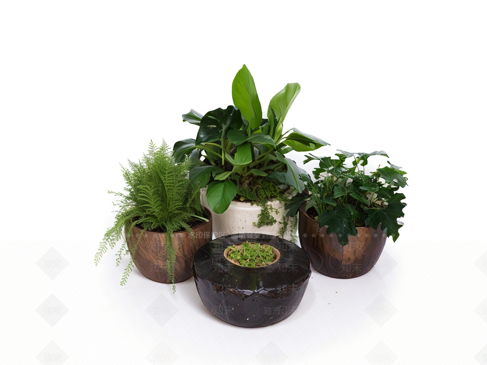 花草SU模型下载【ID:1180367153】