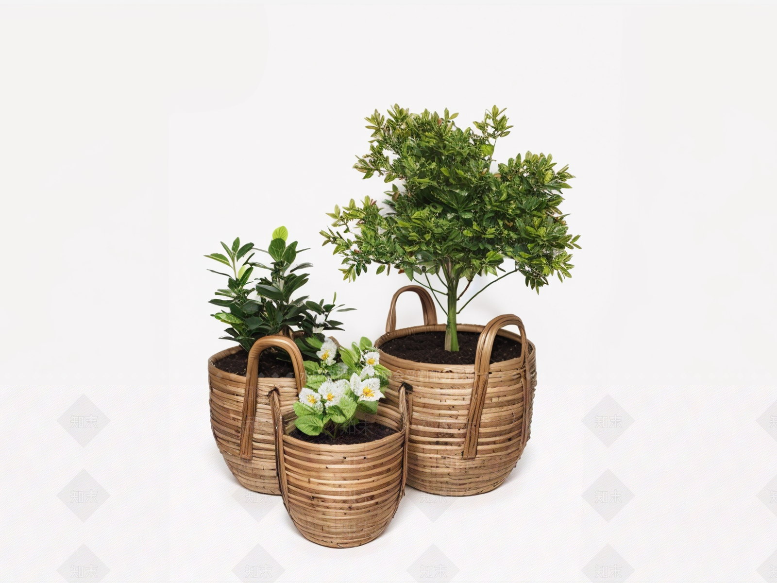 花草SU模型下载【ID:1180367375】