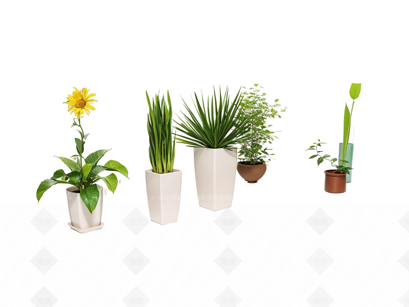 花草SU模型下载【ID:1180367505】