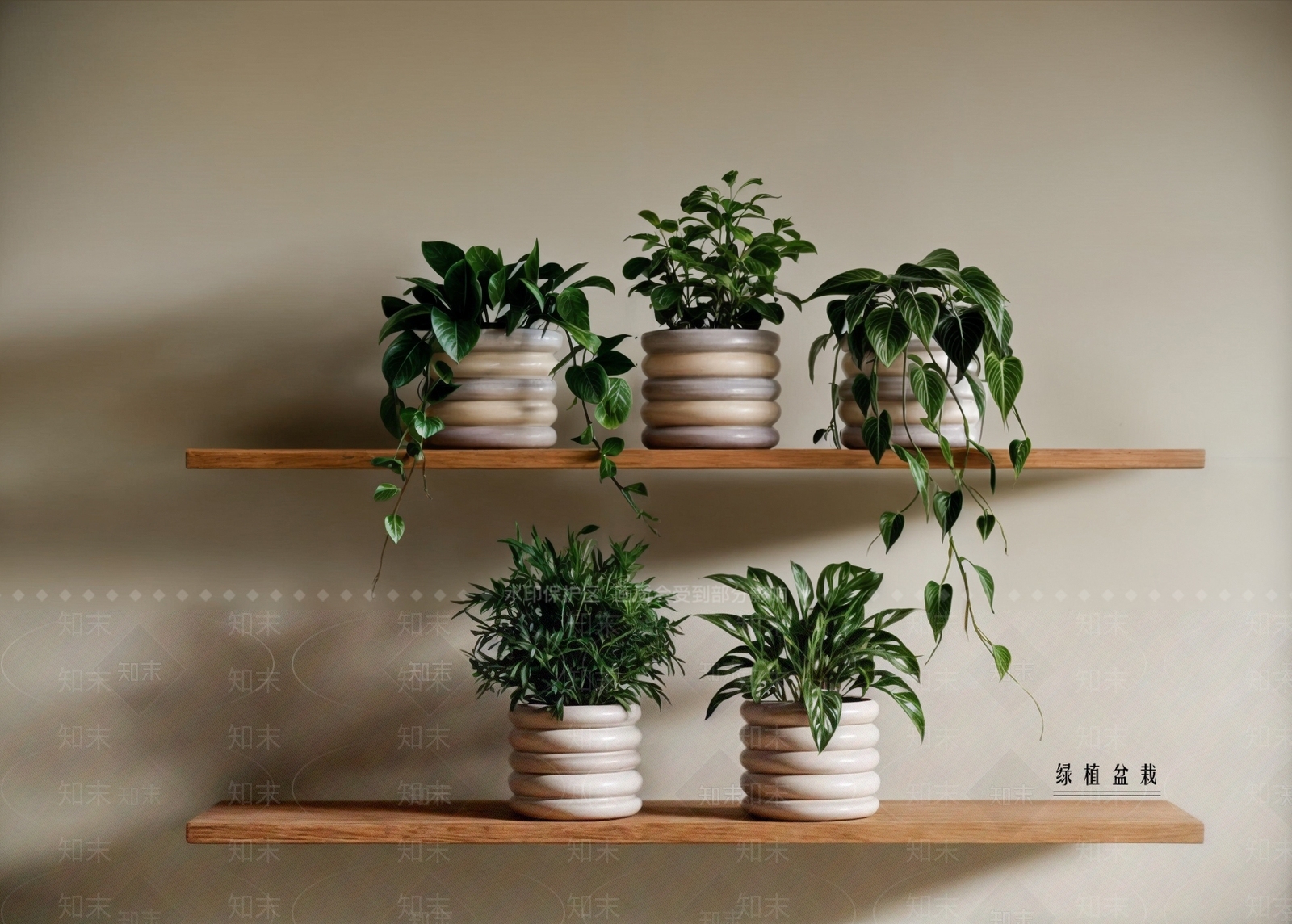 盆栽SU模型下载【ID:1180386340】