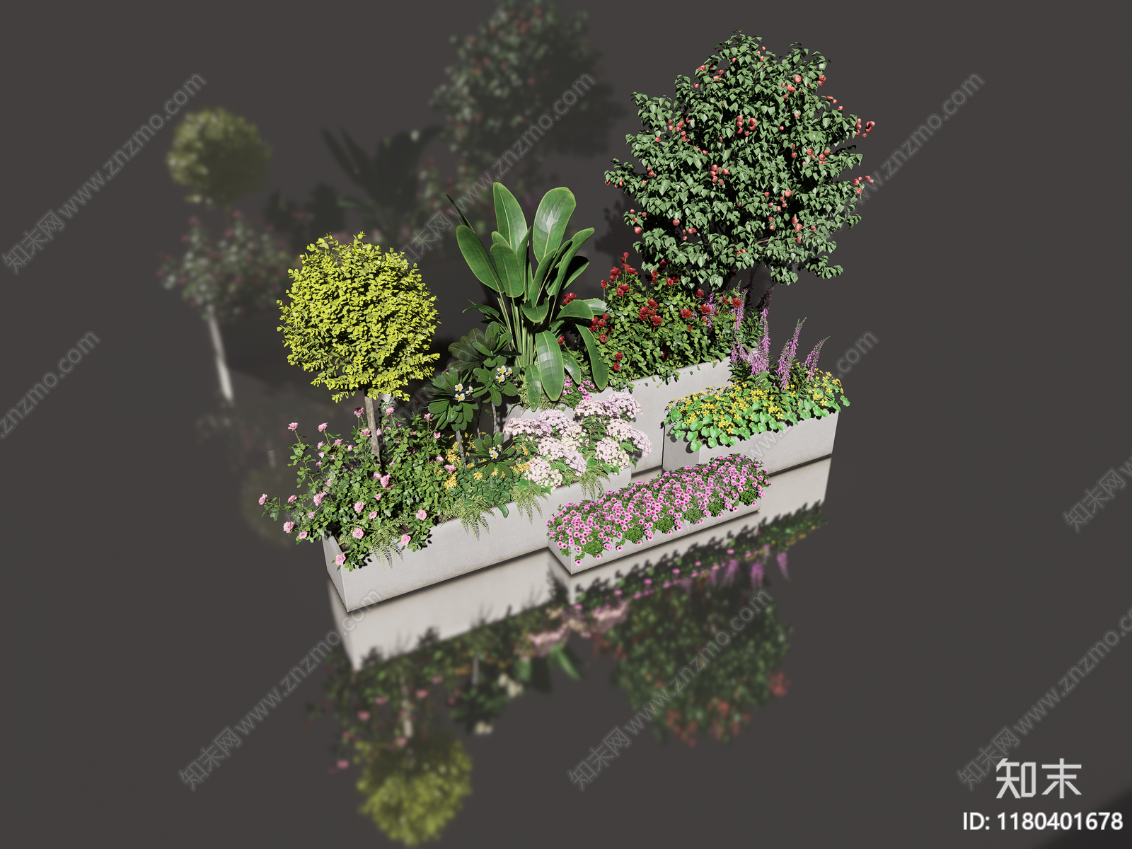 植物组合SU模型下载【ID:1180401678】