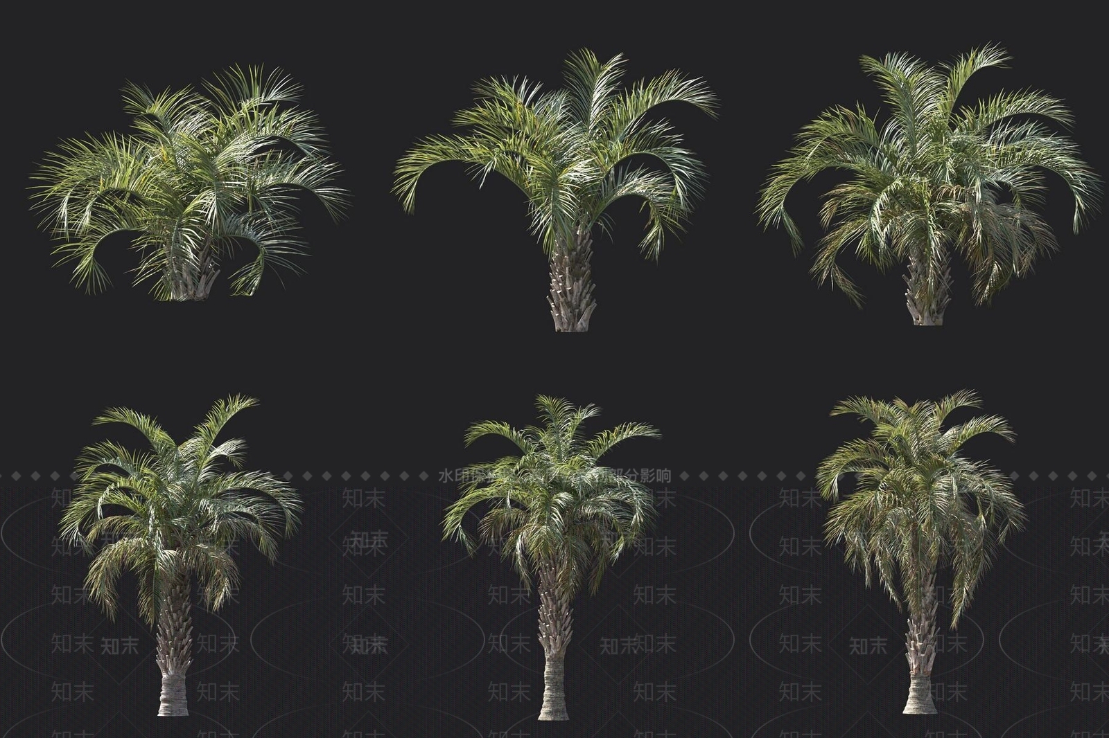 景观树3D模型下载【ID:1180407536】