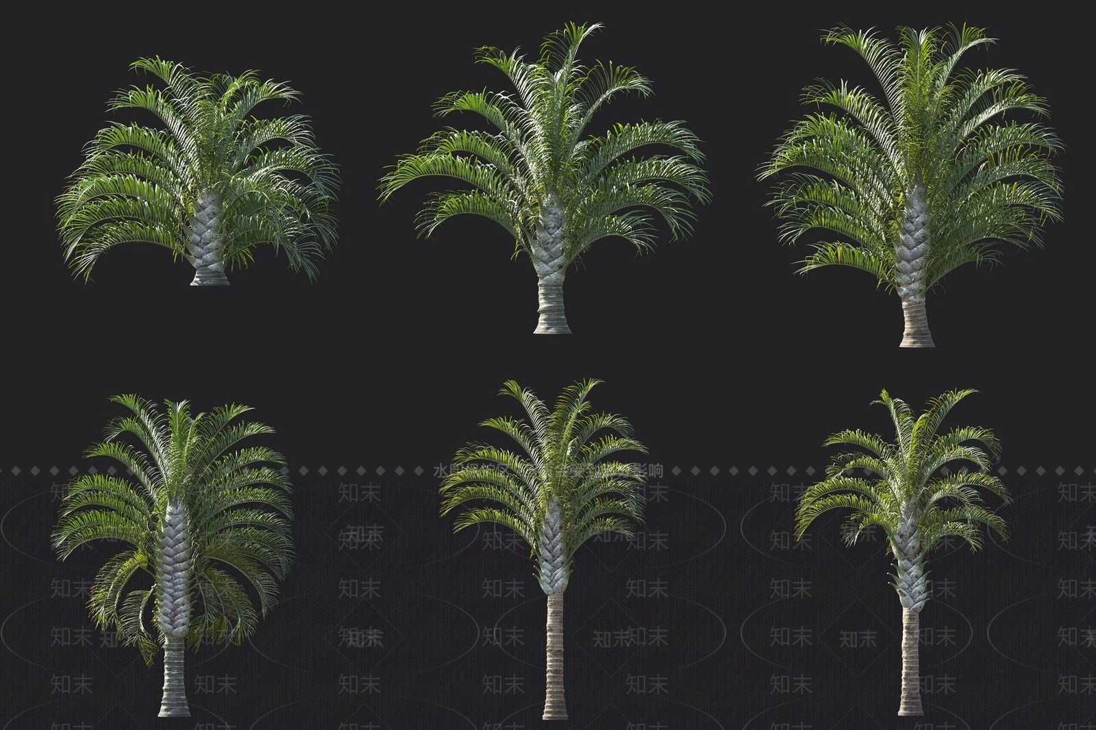 景观树3D模型下载【ID:1180409056】