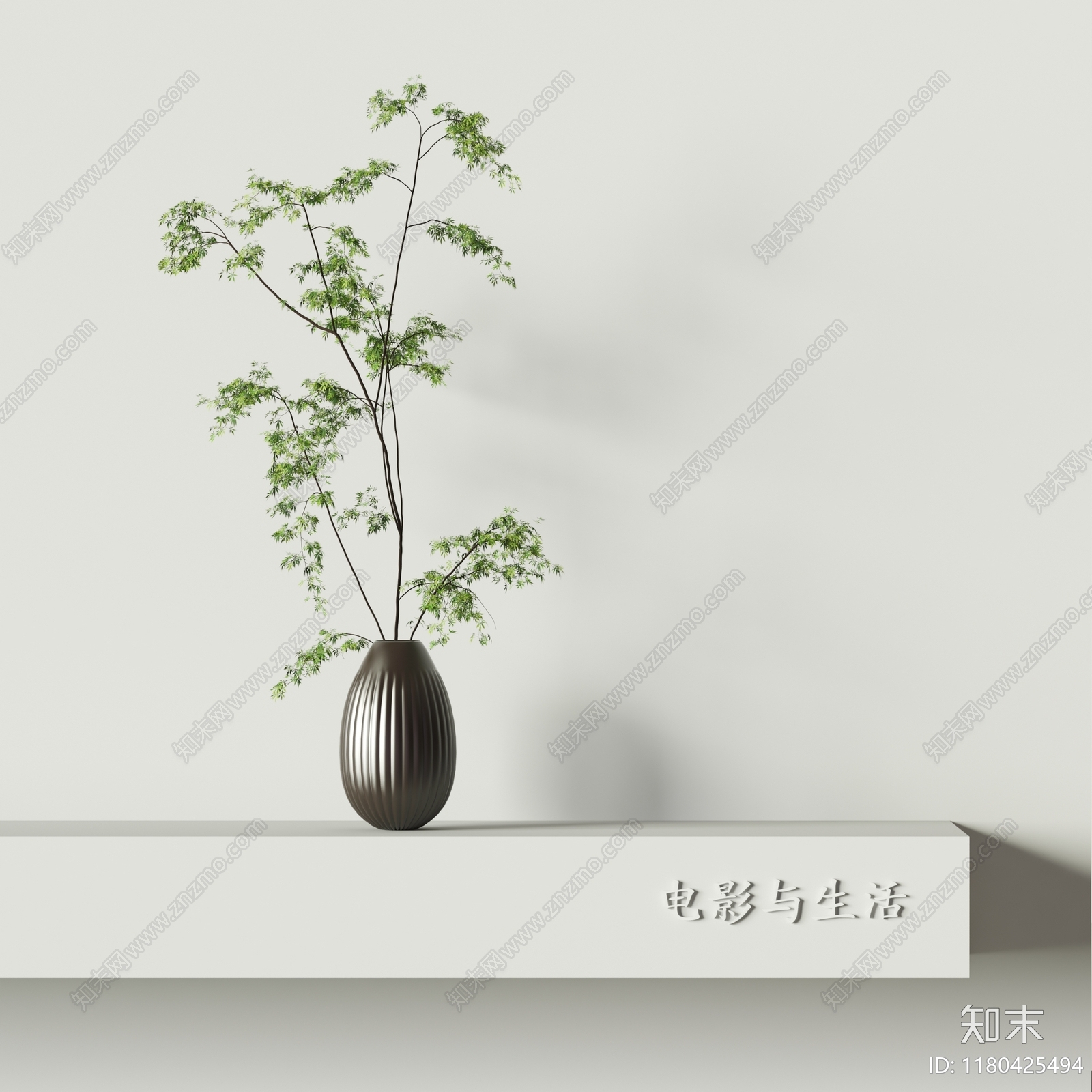 现代植物摆件3D模型下载【ID:1180425494】