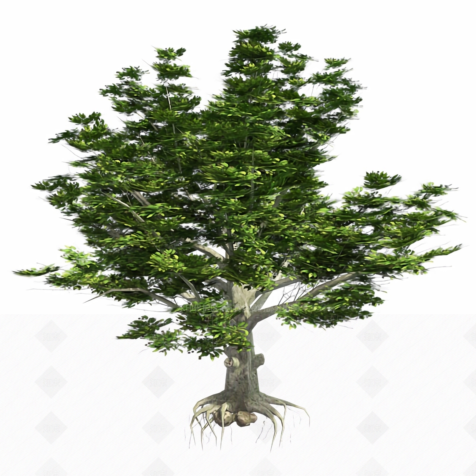 乔木3D模型下载【ID:1180437843】