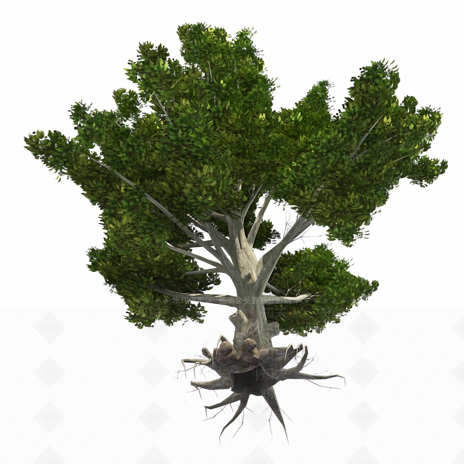 乔木3D模型下载【ID:1180437843】