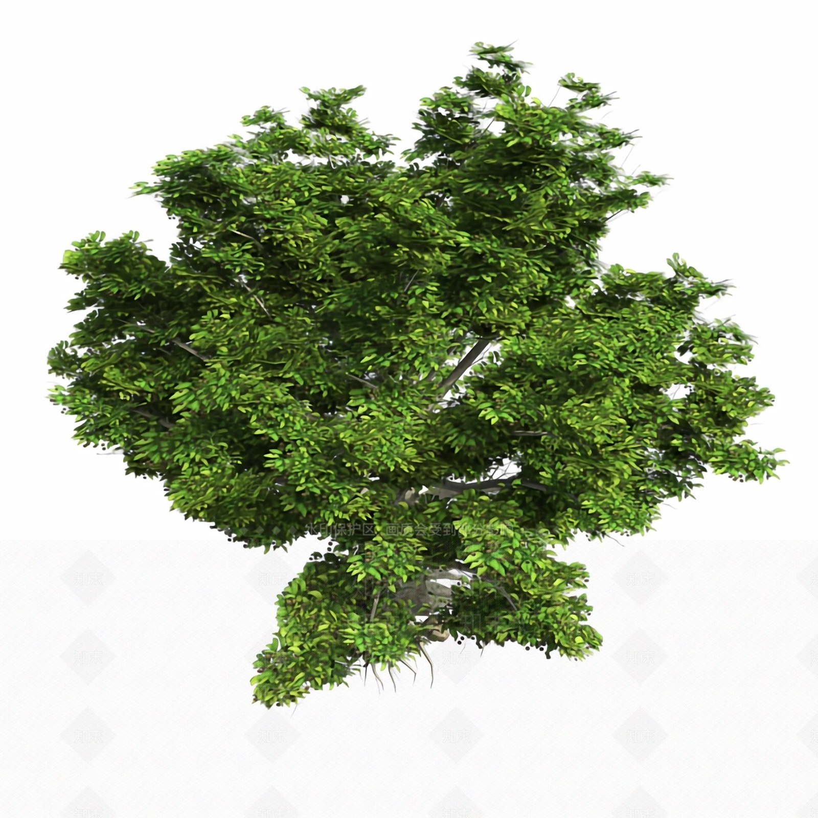 乔木3D模型下载【ID:1180437843】