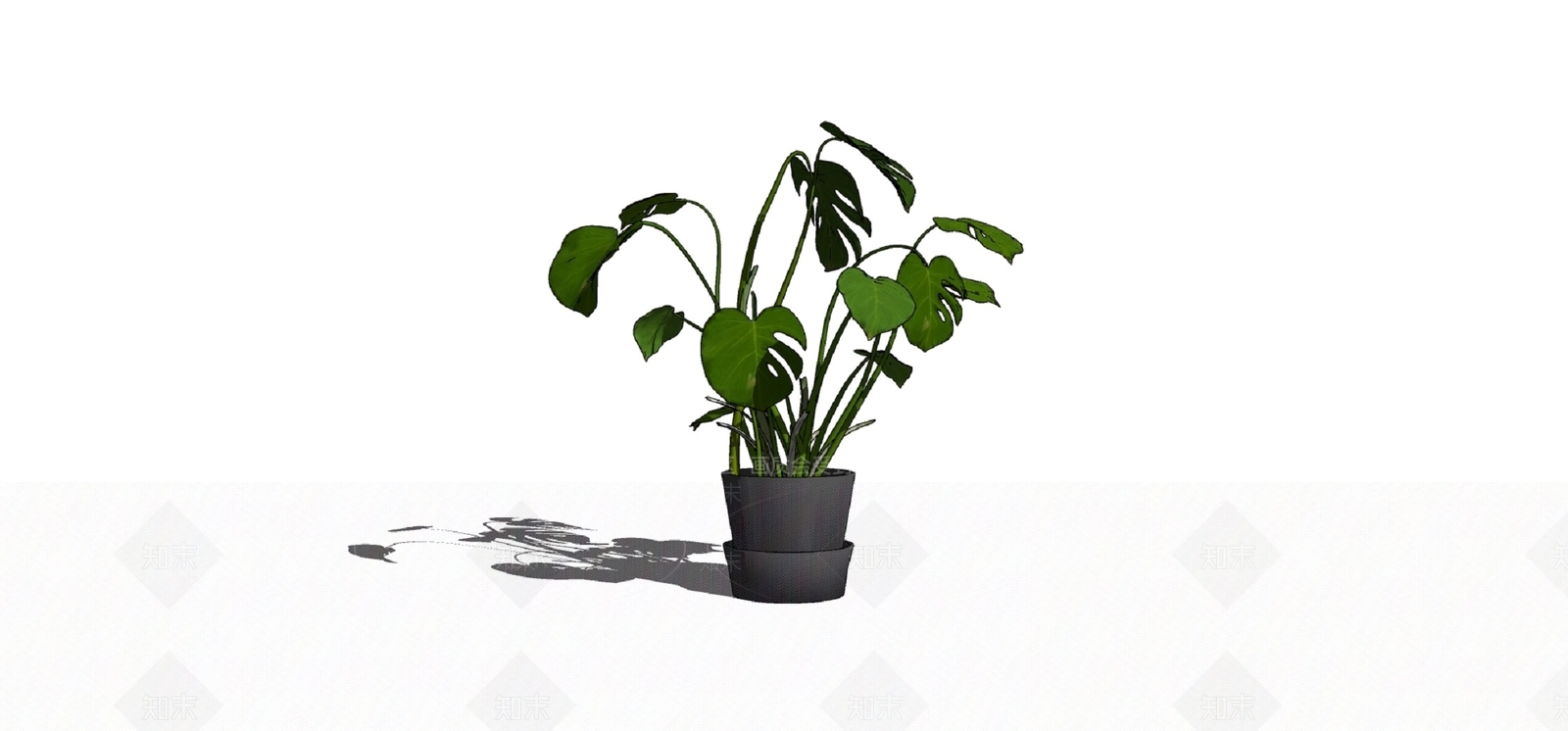 盆栽SU模型下载【ID:1180441844】
