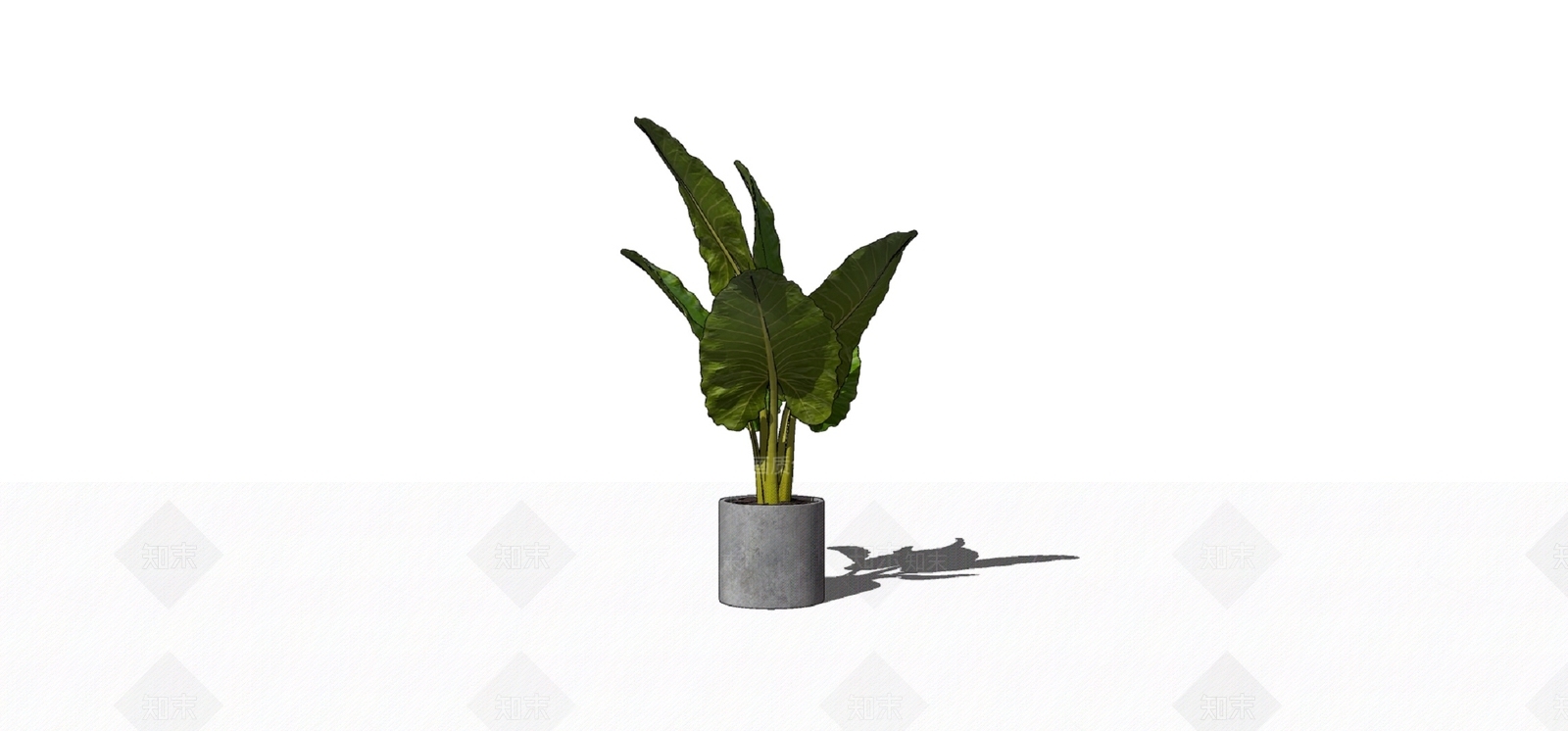 盆栽SU模型下载【ID:1180441939】