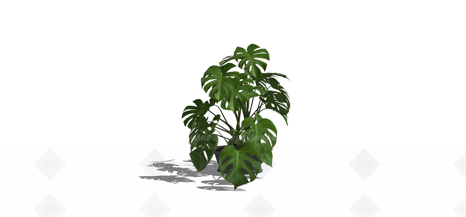 盆栽SU模型下载【ID:1180442791】