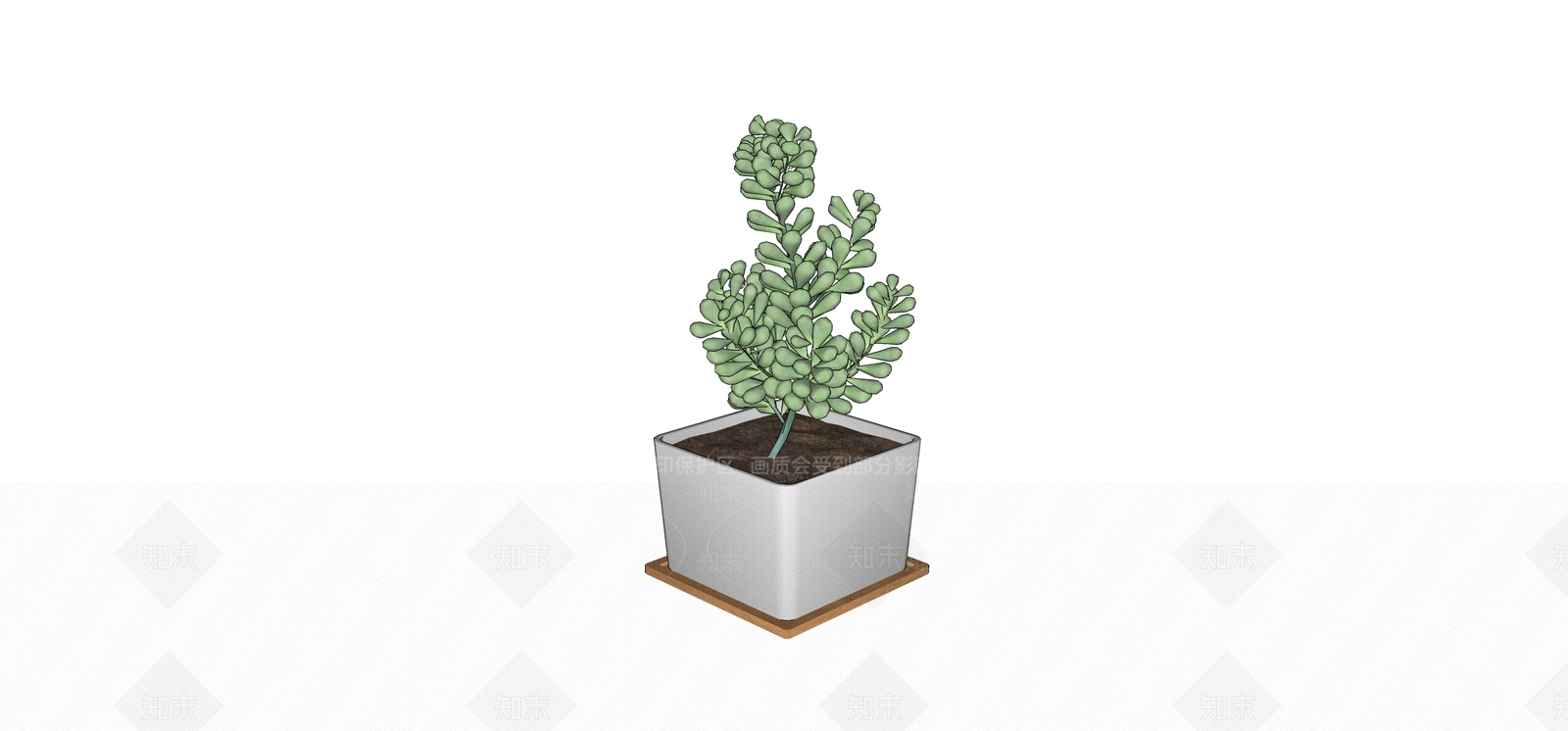 多肉植物SU模型下载【ID:1180443486】