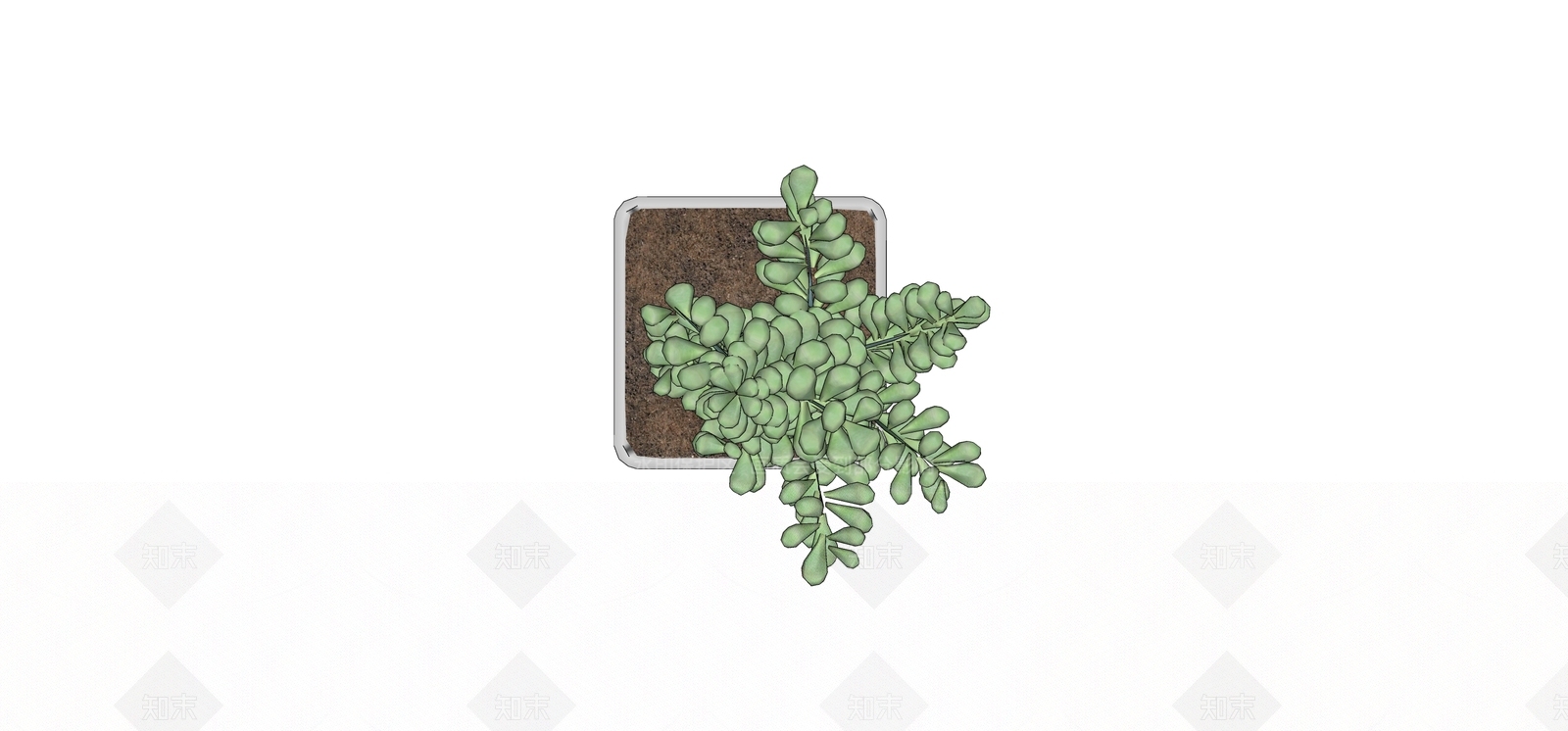 多肉植物SU模型下载【ID:1180443486】