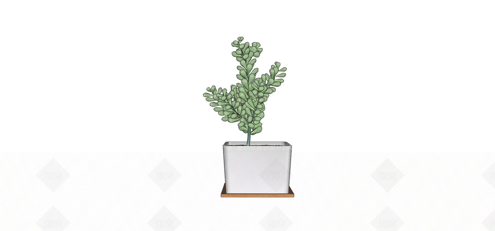 多肉植物SU模型下载【ID:1180443486】