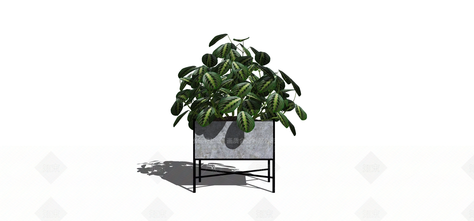盆栽SU模型下载【ID:1180443517】