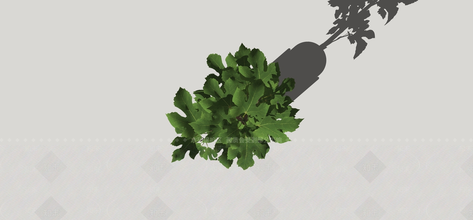 盆栽SU模型下载【ID:1180443640】