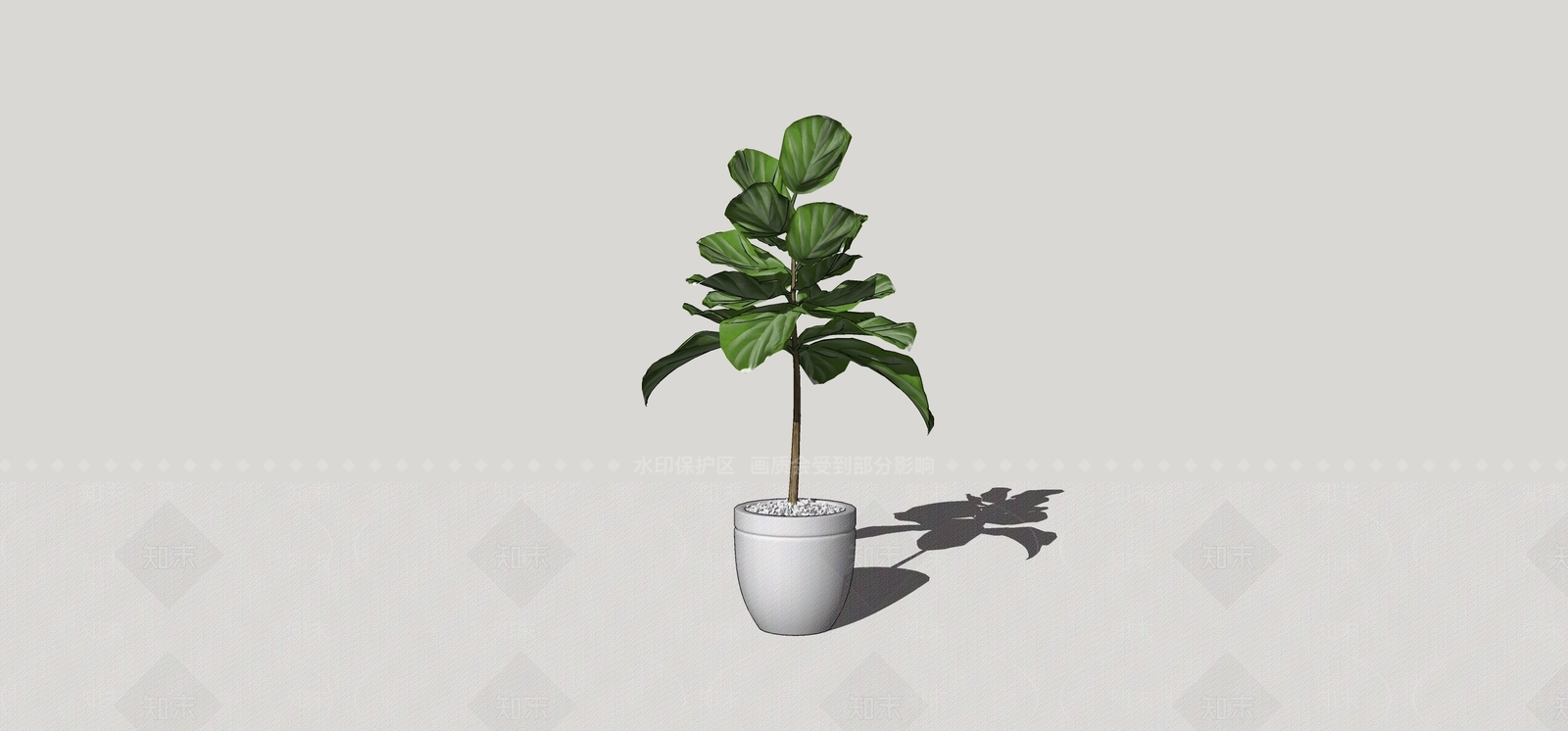 盆栽SU模型下载【ID:1180443720】