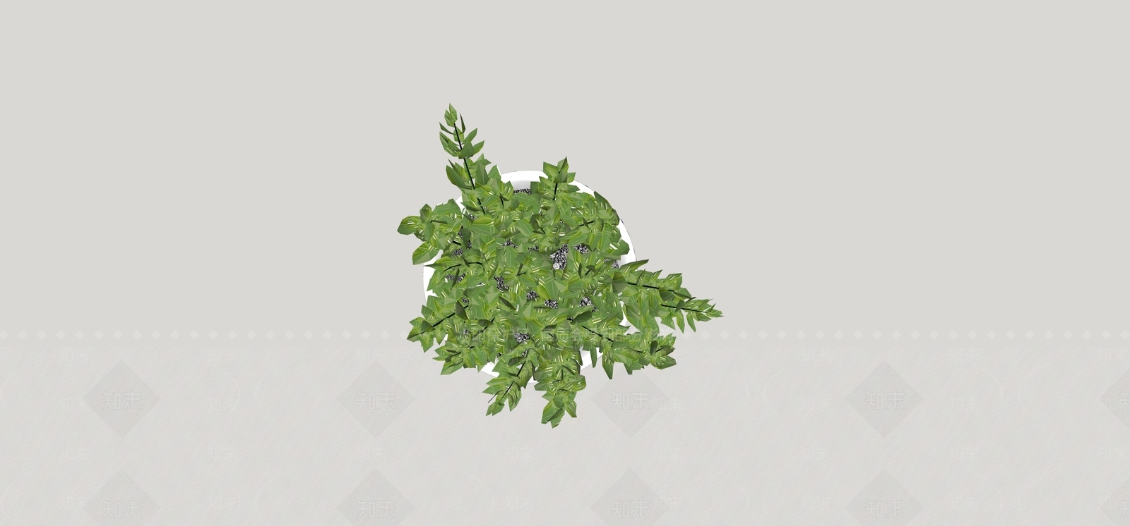 盆栽SU模型下载【ID:1180443889】