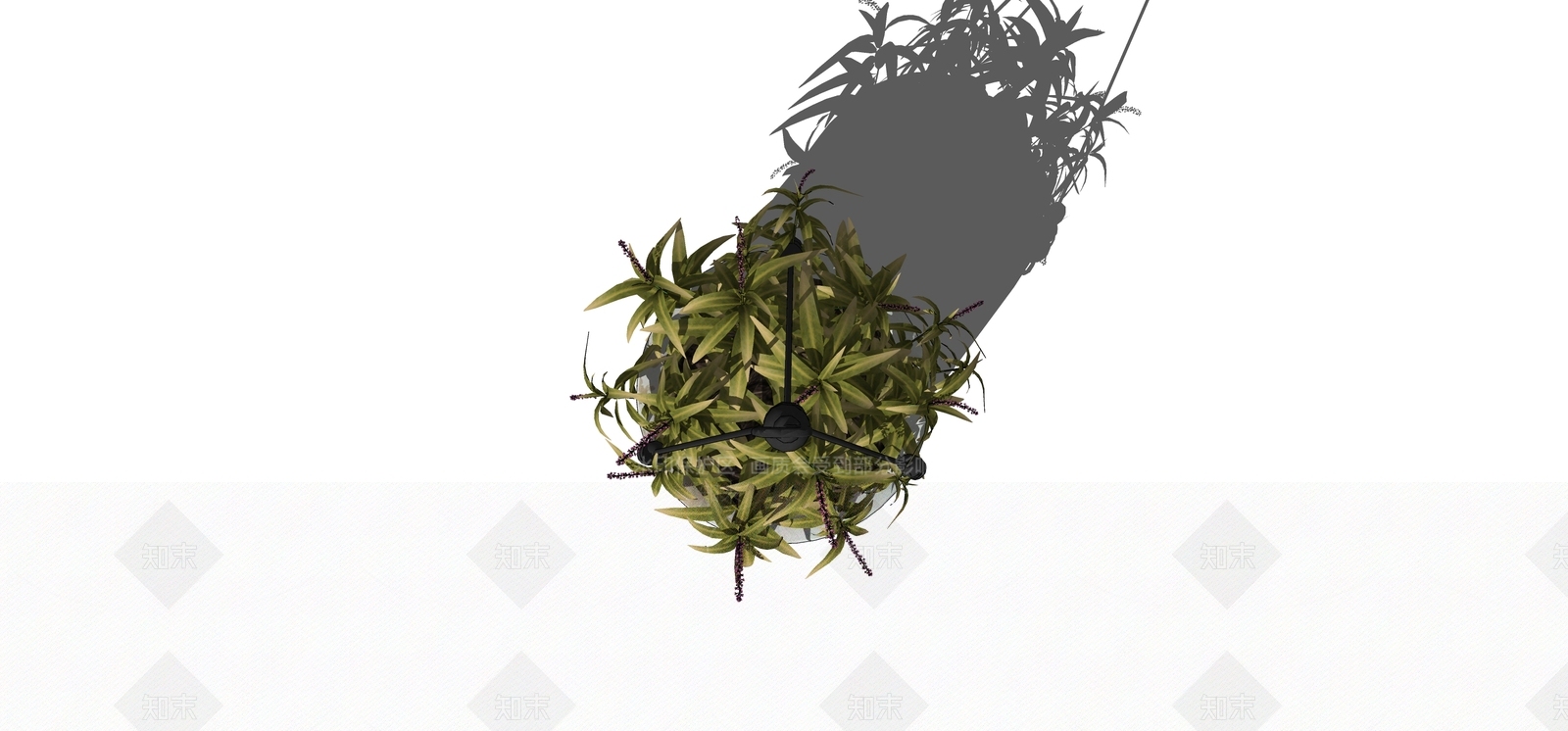 盆栽SU模型下载【ID:1180444300】