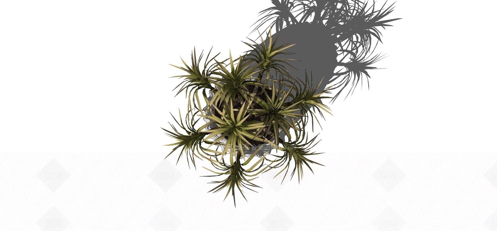 盆栽SU模型下载【ID:1180444353】