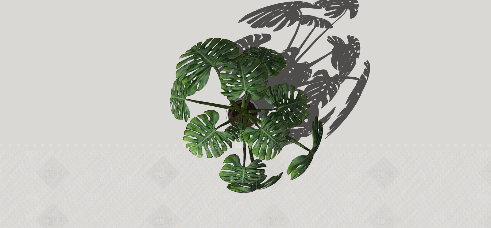 盆栽SU模型下载【ID:1180444453】