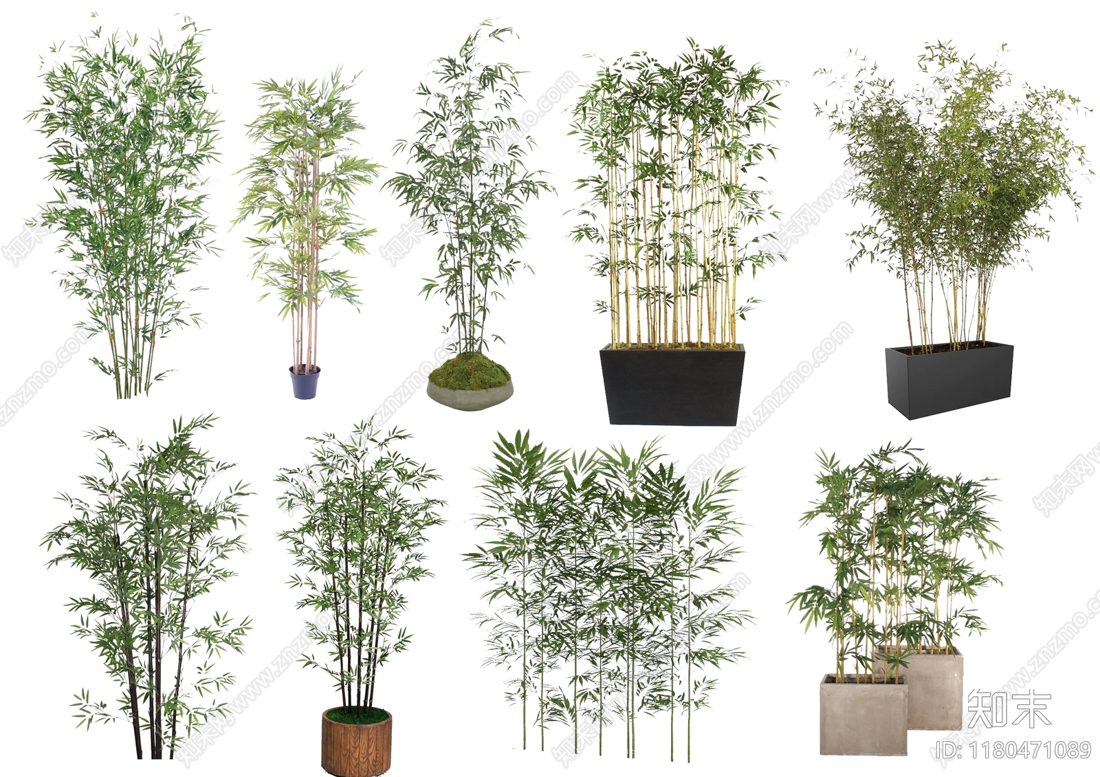 植物设计素材精品下载_知末网