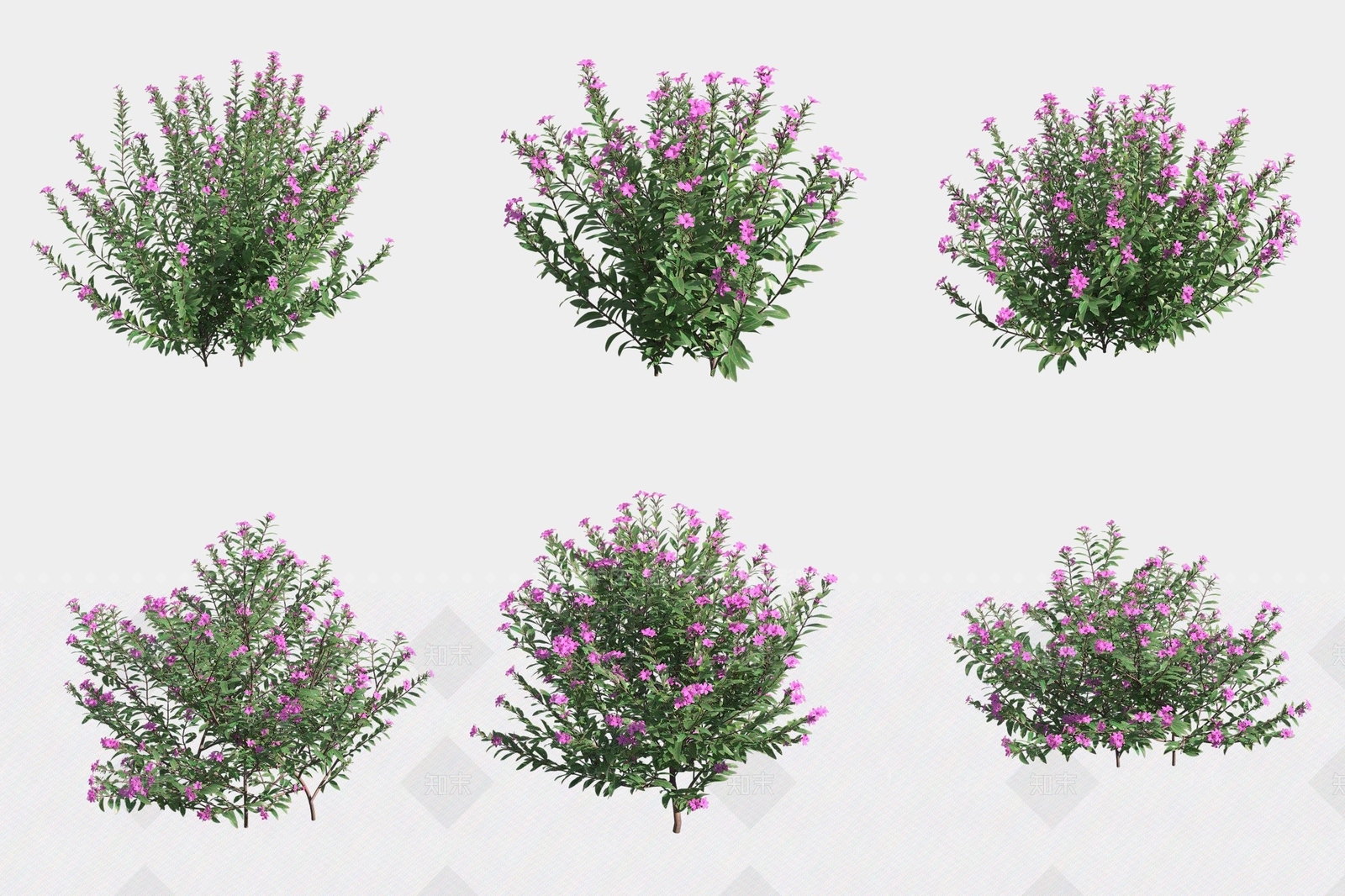 灌木3D模型下载【ID:1180477320】