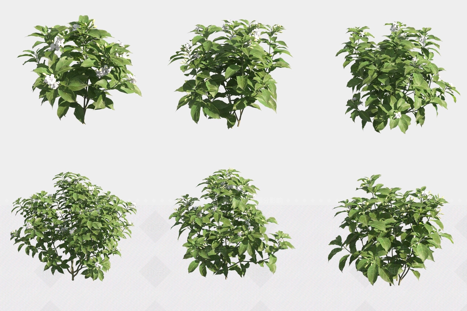 灌木3D模型下载【ID:1180477546】