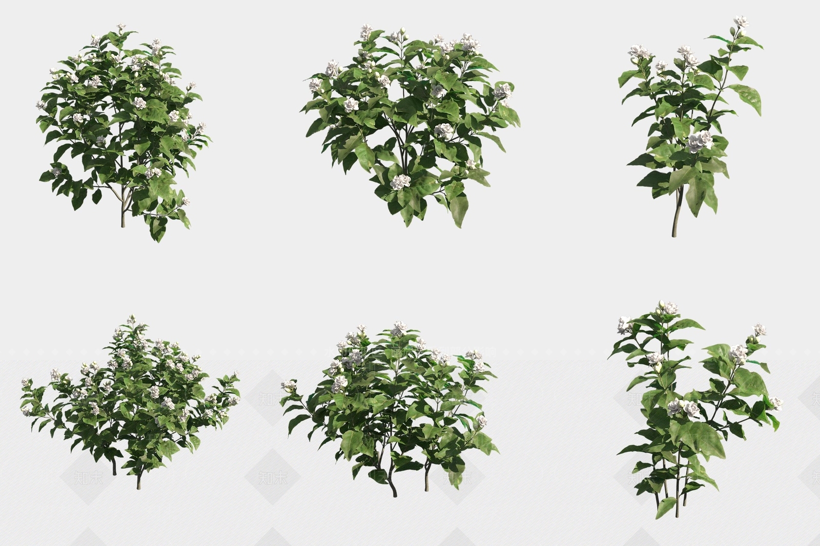 灌木3D模型下载【ID:1180478549】