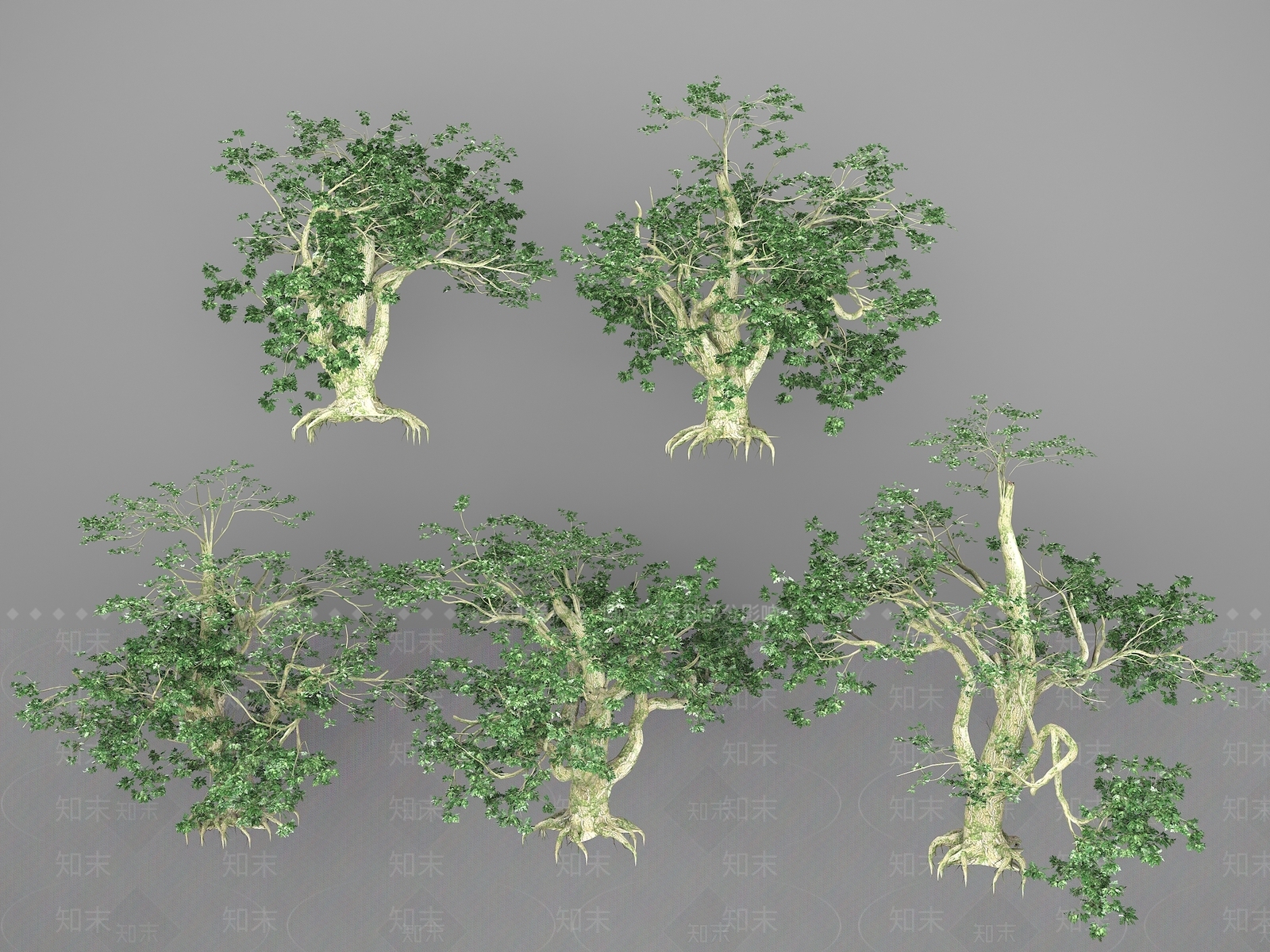 景观树3D模型下载【ID:1180478959】
