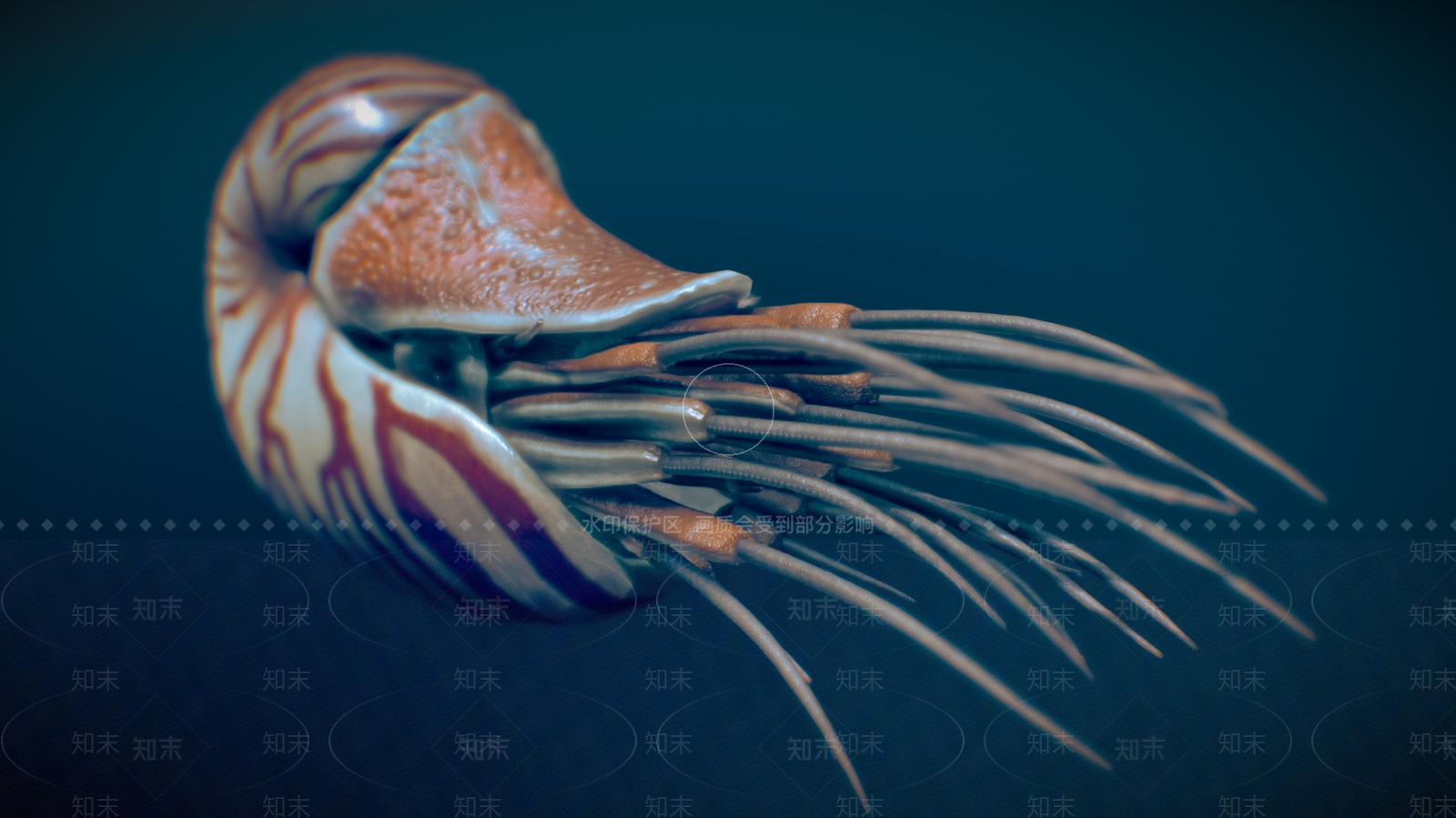 水生类动物3D模型下载【ID:1180495577】