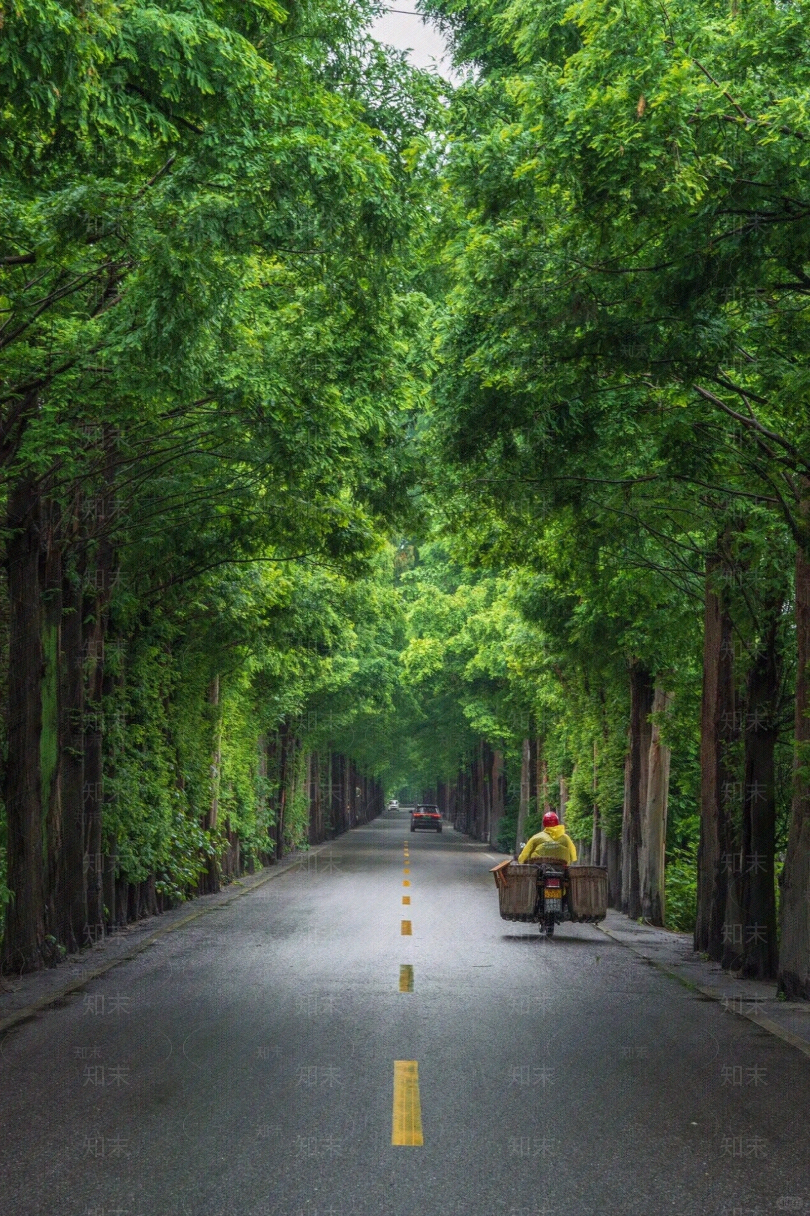 现代街道外景贴图下载【ID:1180502089】