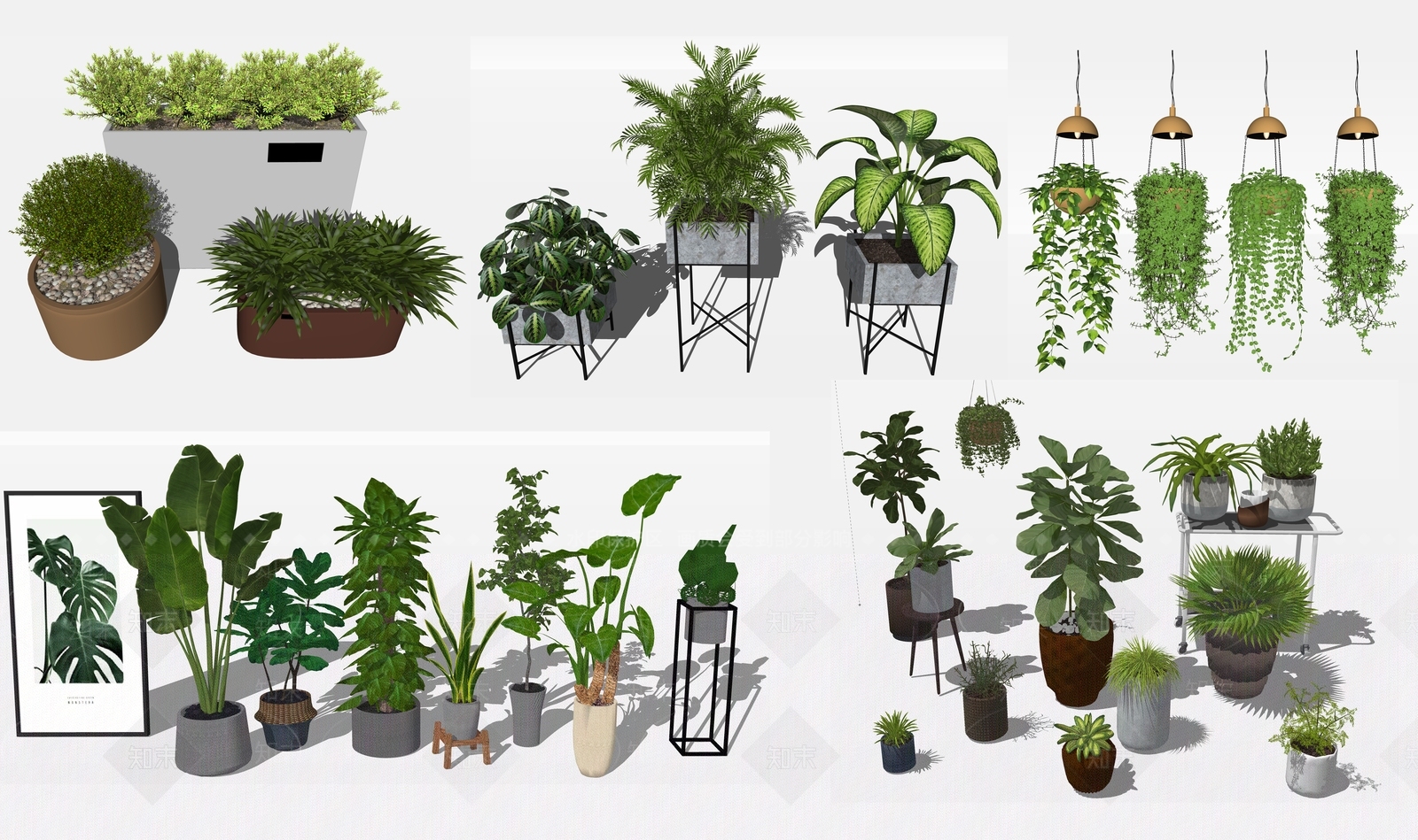 植物组合SU模型下载【ID:1180512692】