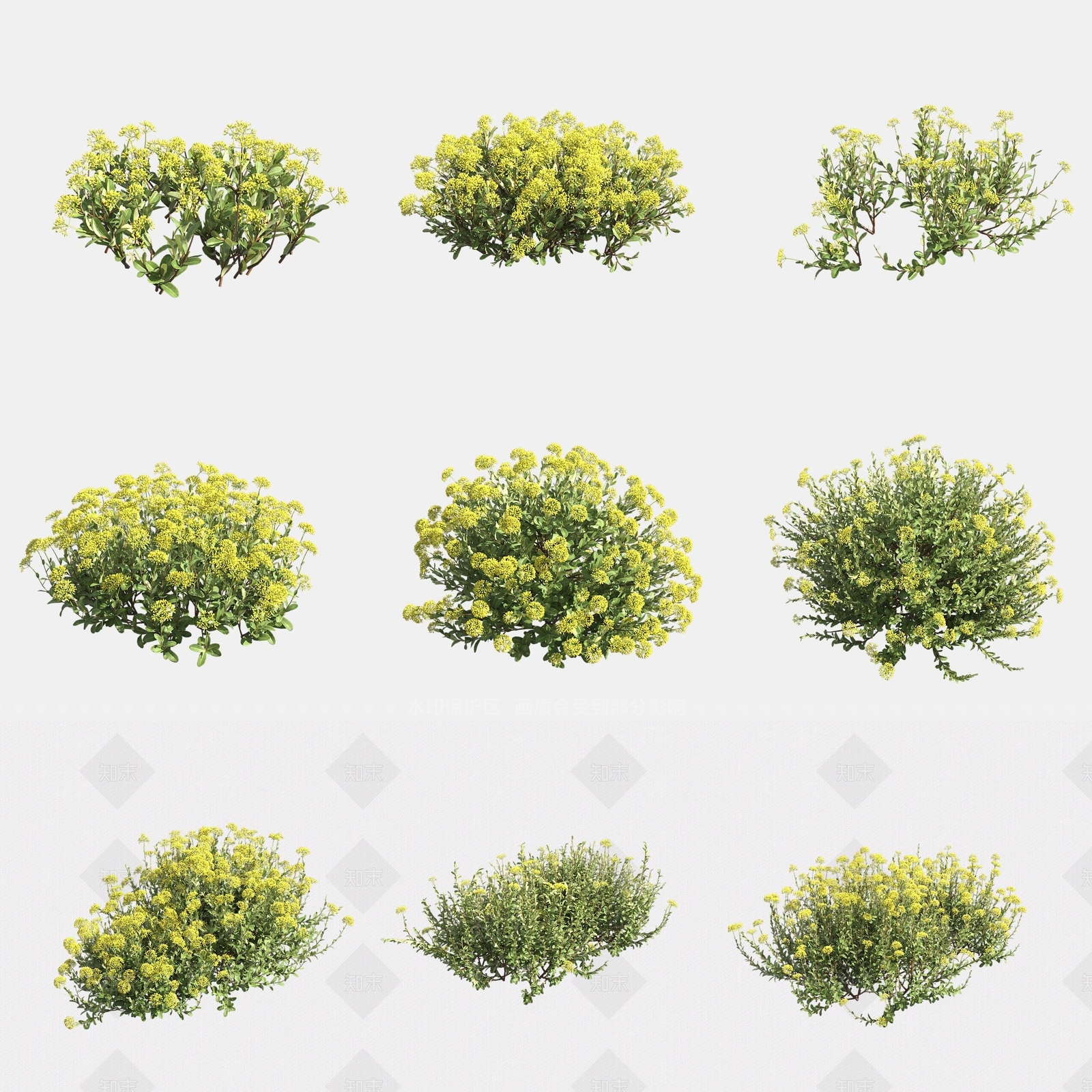 灌木3D模型下载【ID:1180595084】
