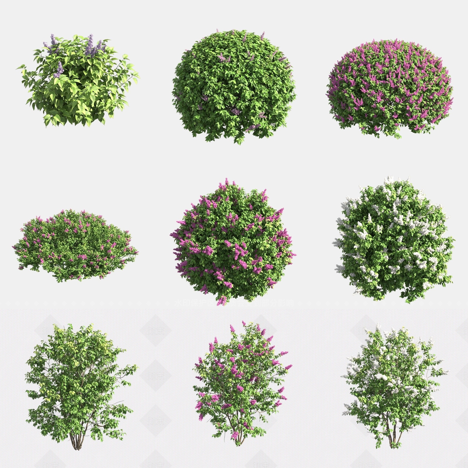 灌木3D模型下载【ID:1180596765】