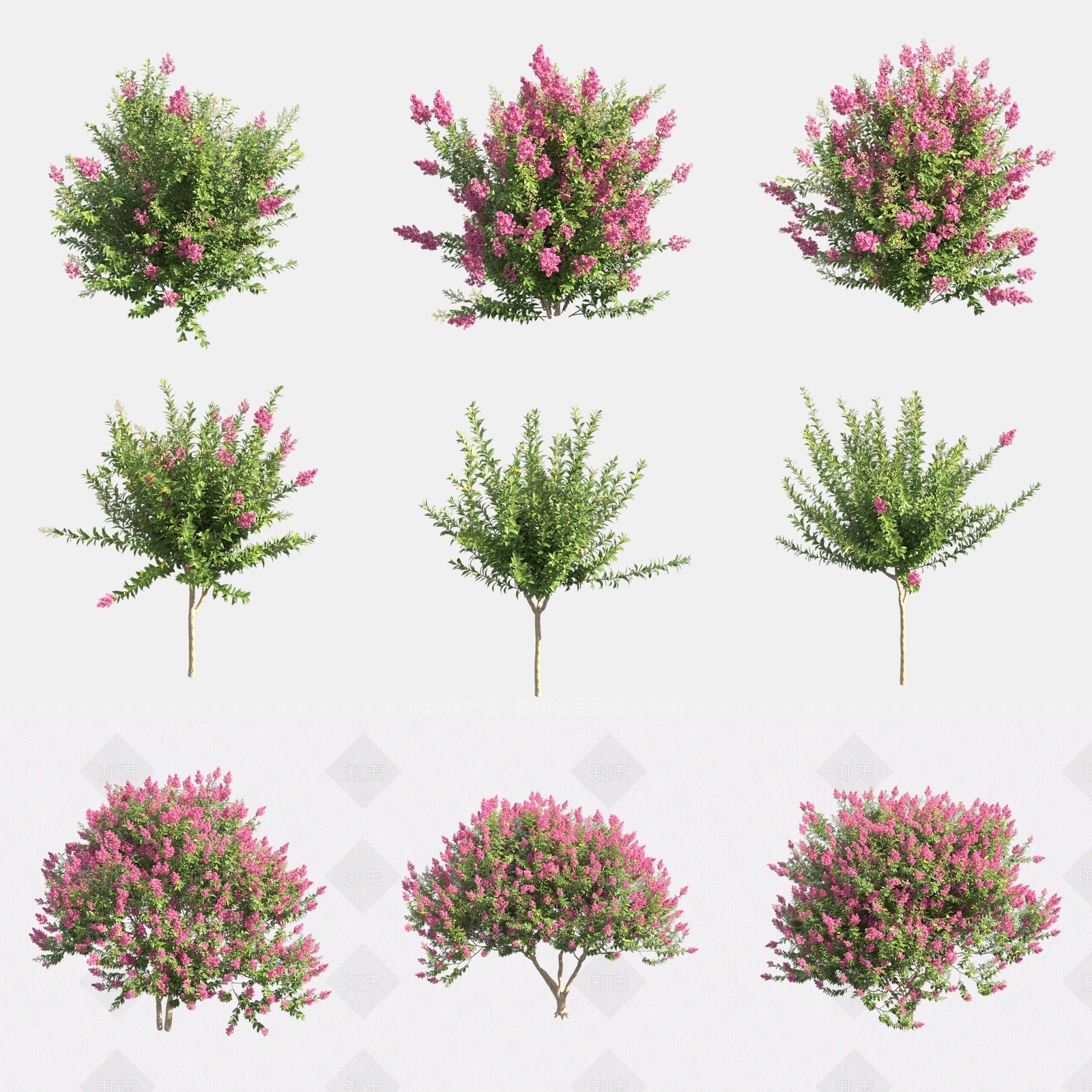 灌木3D模型下载【ID:1180597259】
