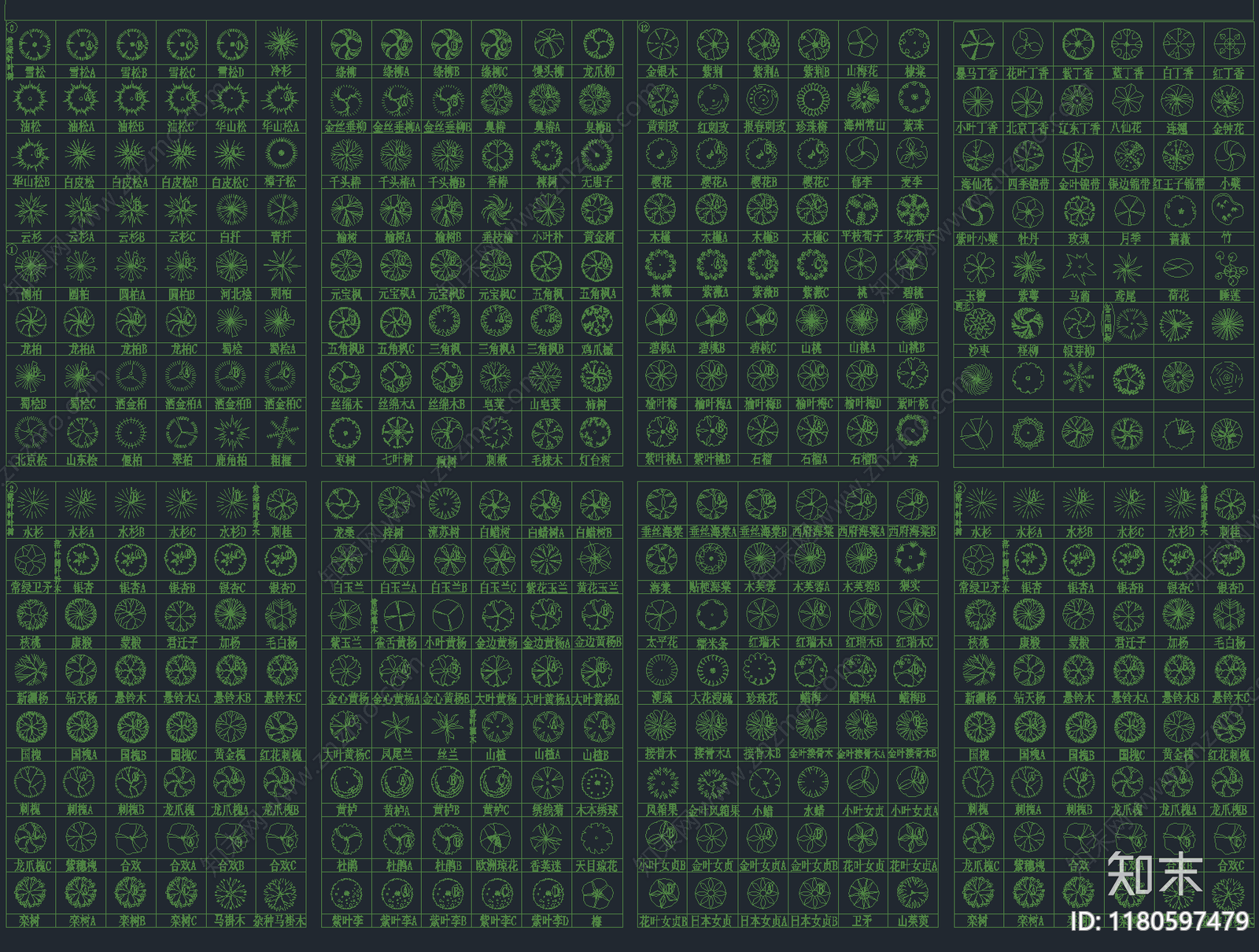 2025年最新园林景观专用CAD植物图库施工图下载【ID:1180597479】