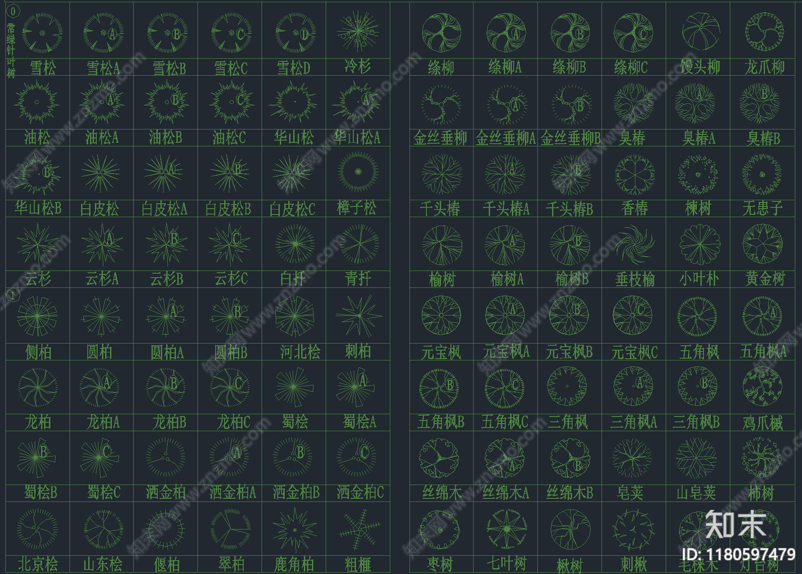 2025年最新园林景观专用CAD植物图库施工图下载【ID:1180597479】
