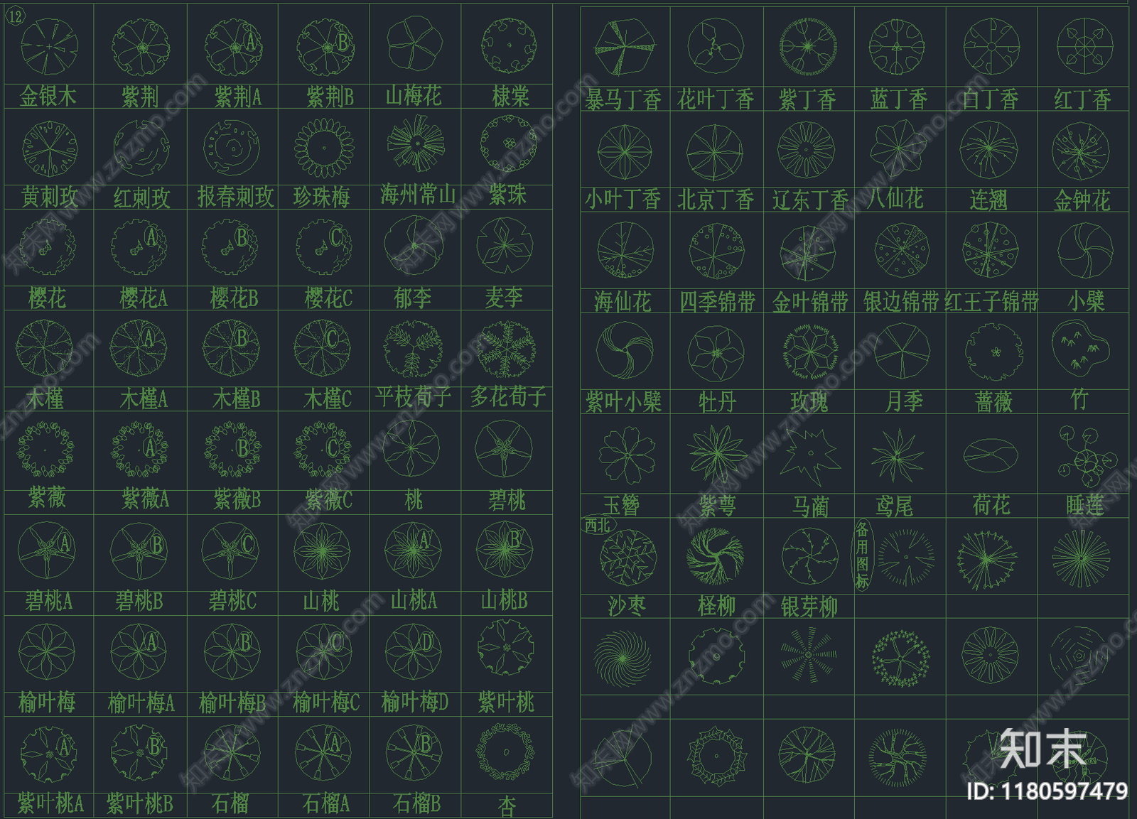 2025年最新园林景观专用CAD植物图库施工图下载【ID:1180597479】
