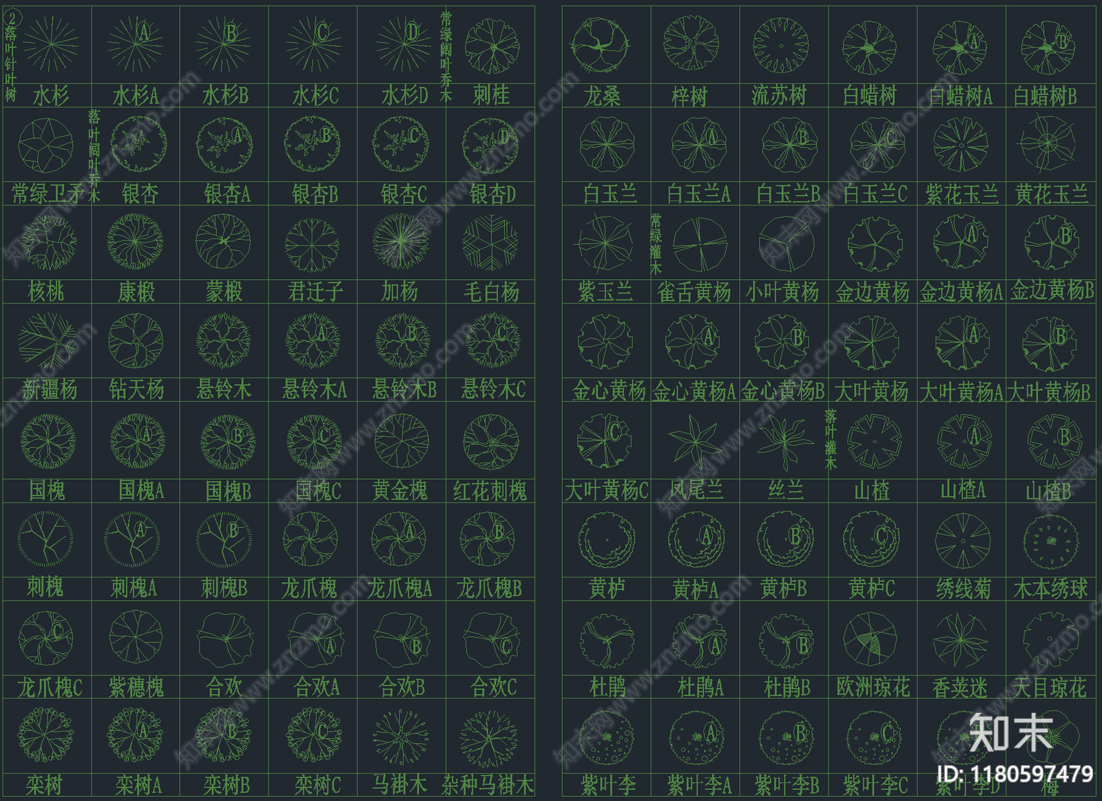 2025年最新园林景观专用CAD植物图库施工图下载【ID:1180597479】
