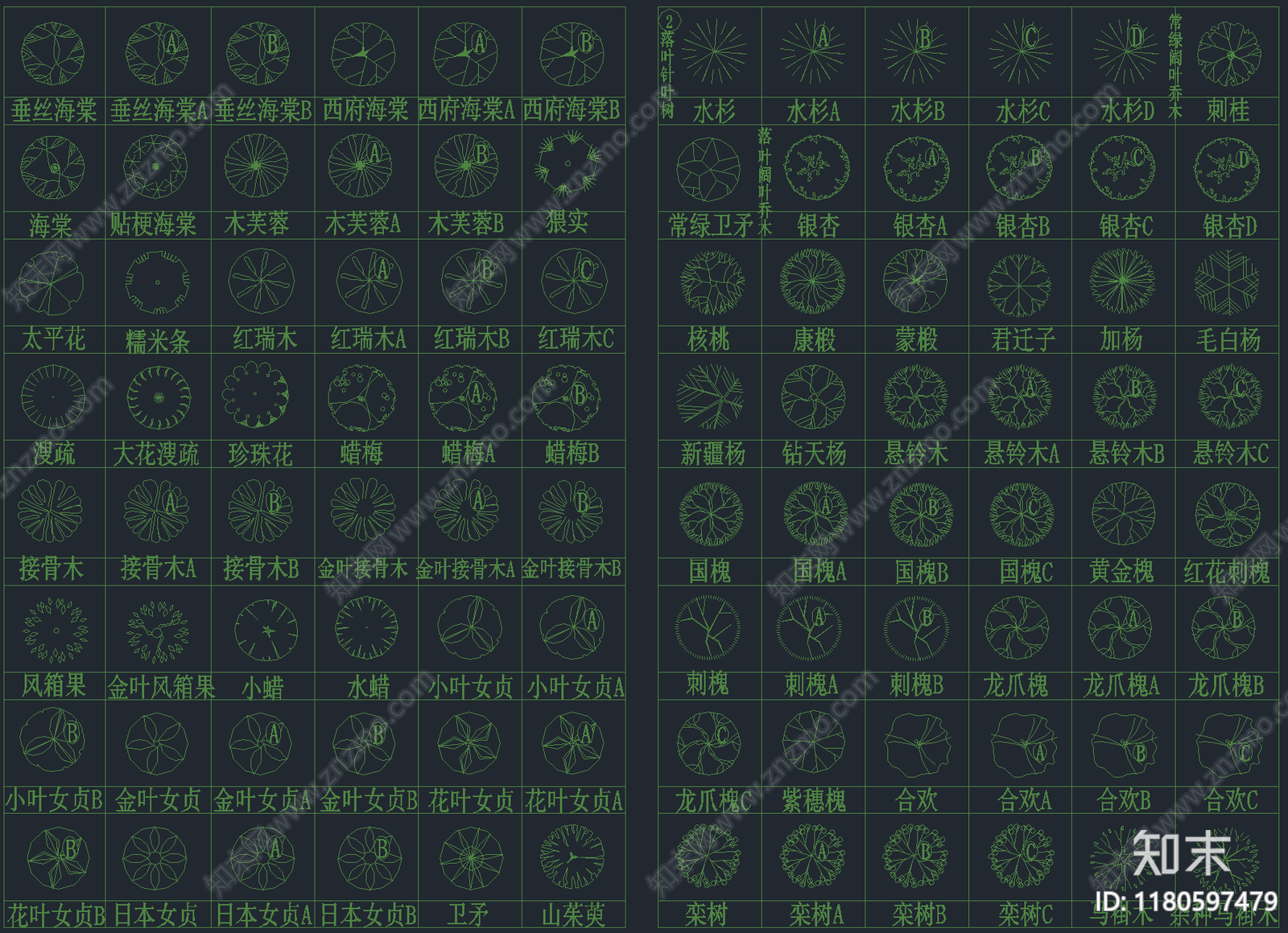 2025年最新园林景观专用CAD植物图库施工图下载【ID:1180597479】